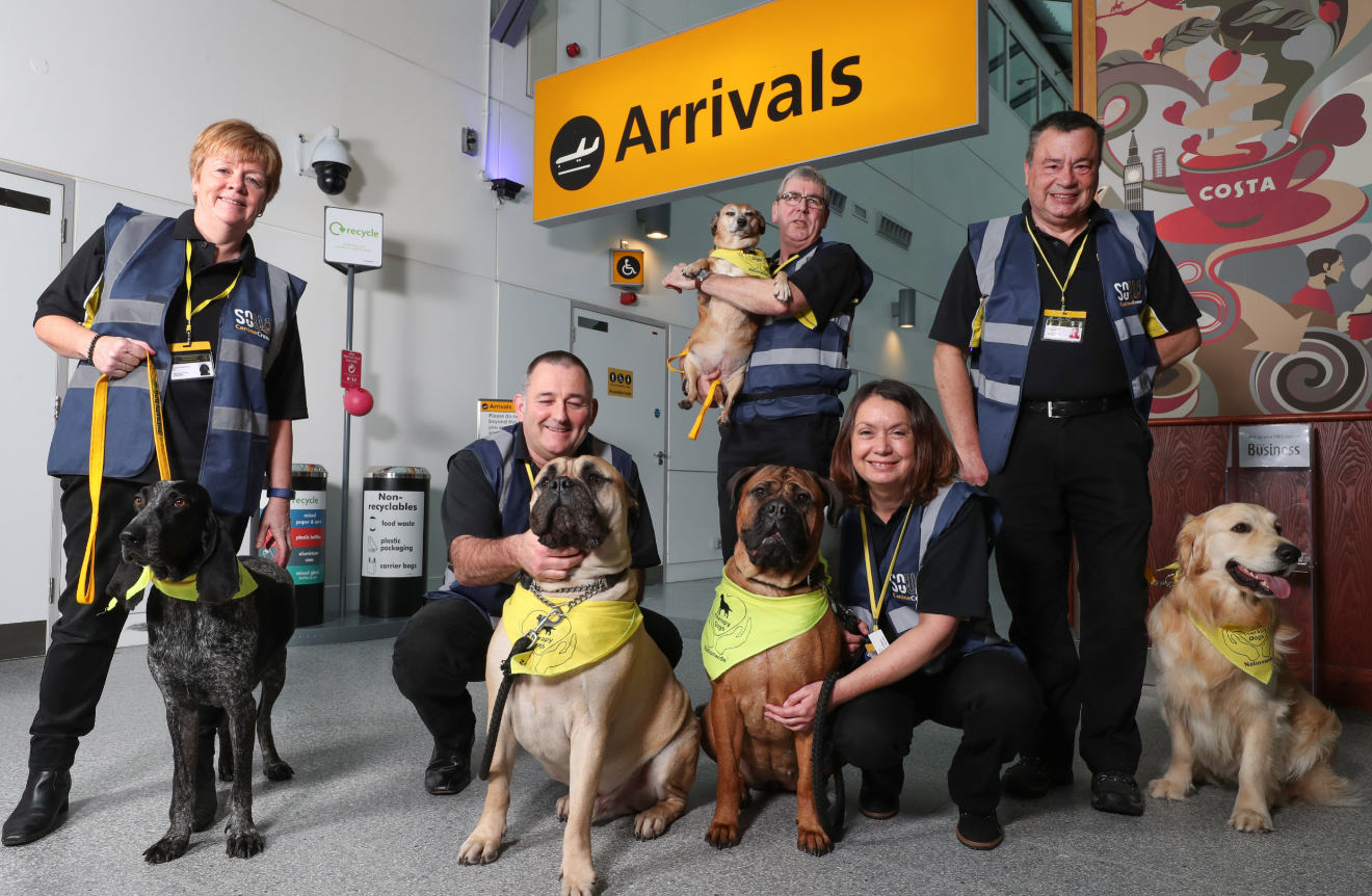 Canine Crew at Southampton Airport
