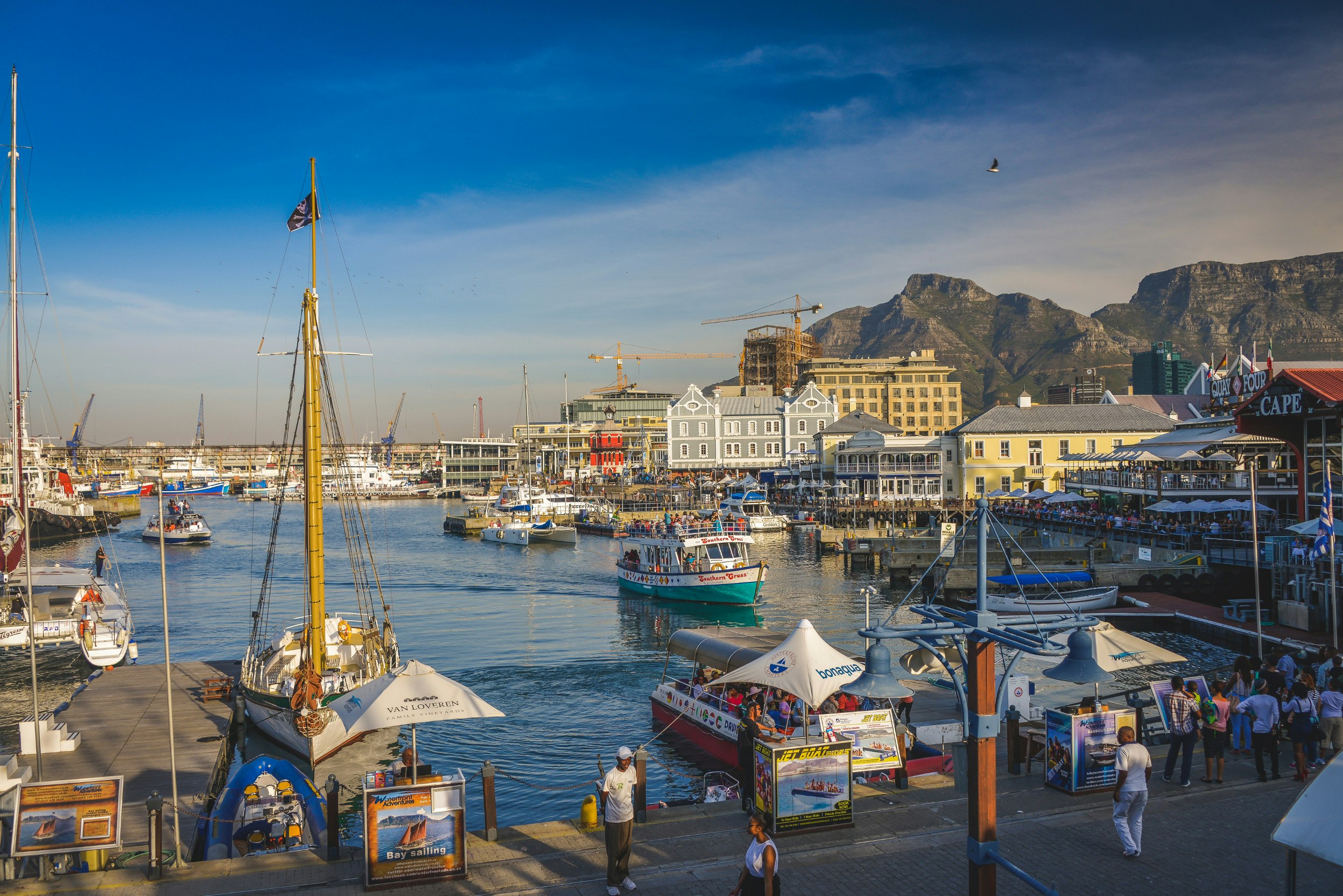 Tourist boats come and go from the energetic harbour; people mill on the docks for boats; birds fly and Table Mountain looms in the background.