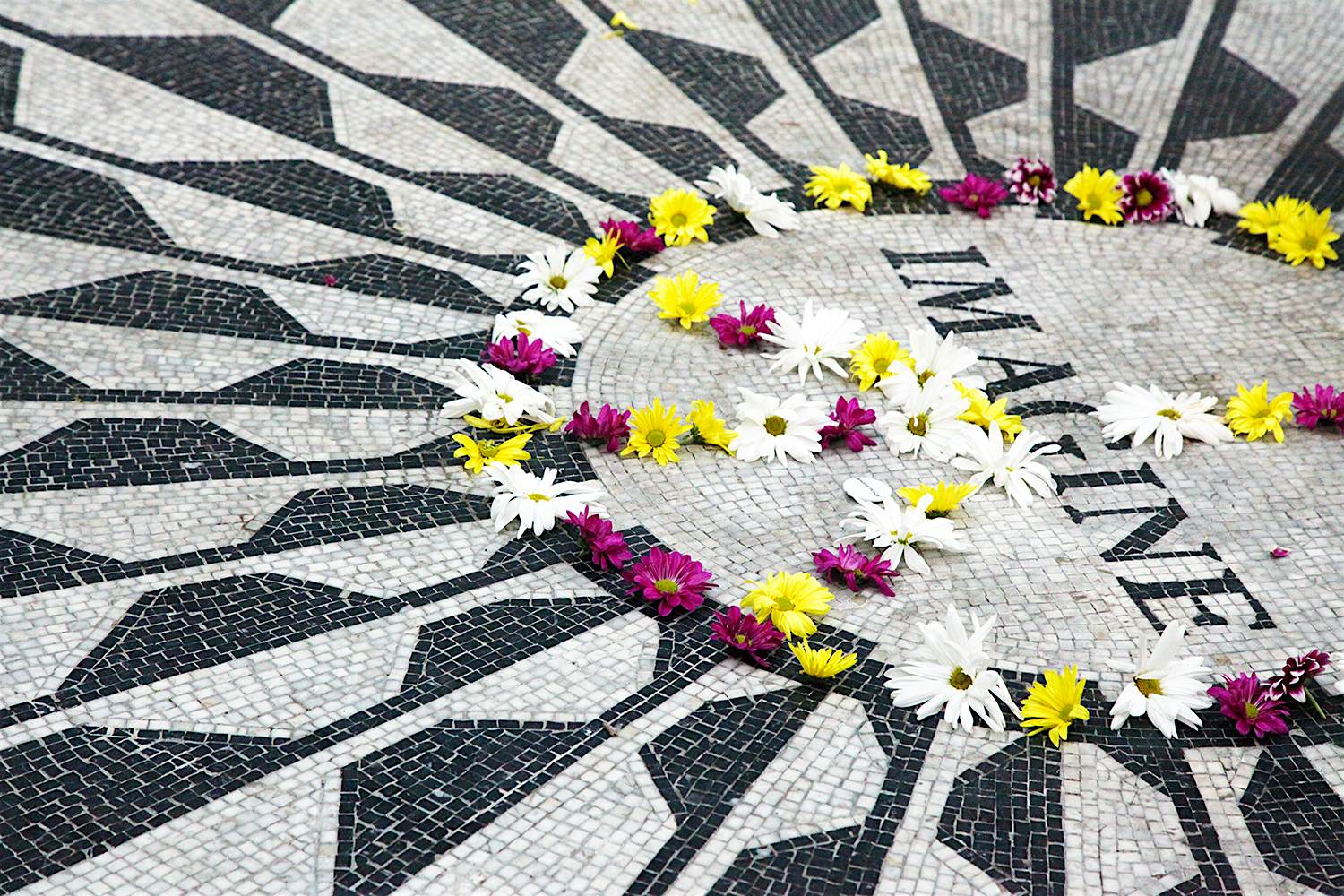 Central Park - Imagine- free things NYC.jpg A black and white mosaic that spells out "Imagine" in Central Park is strewn with flowers to honor John Lennon