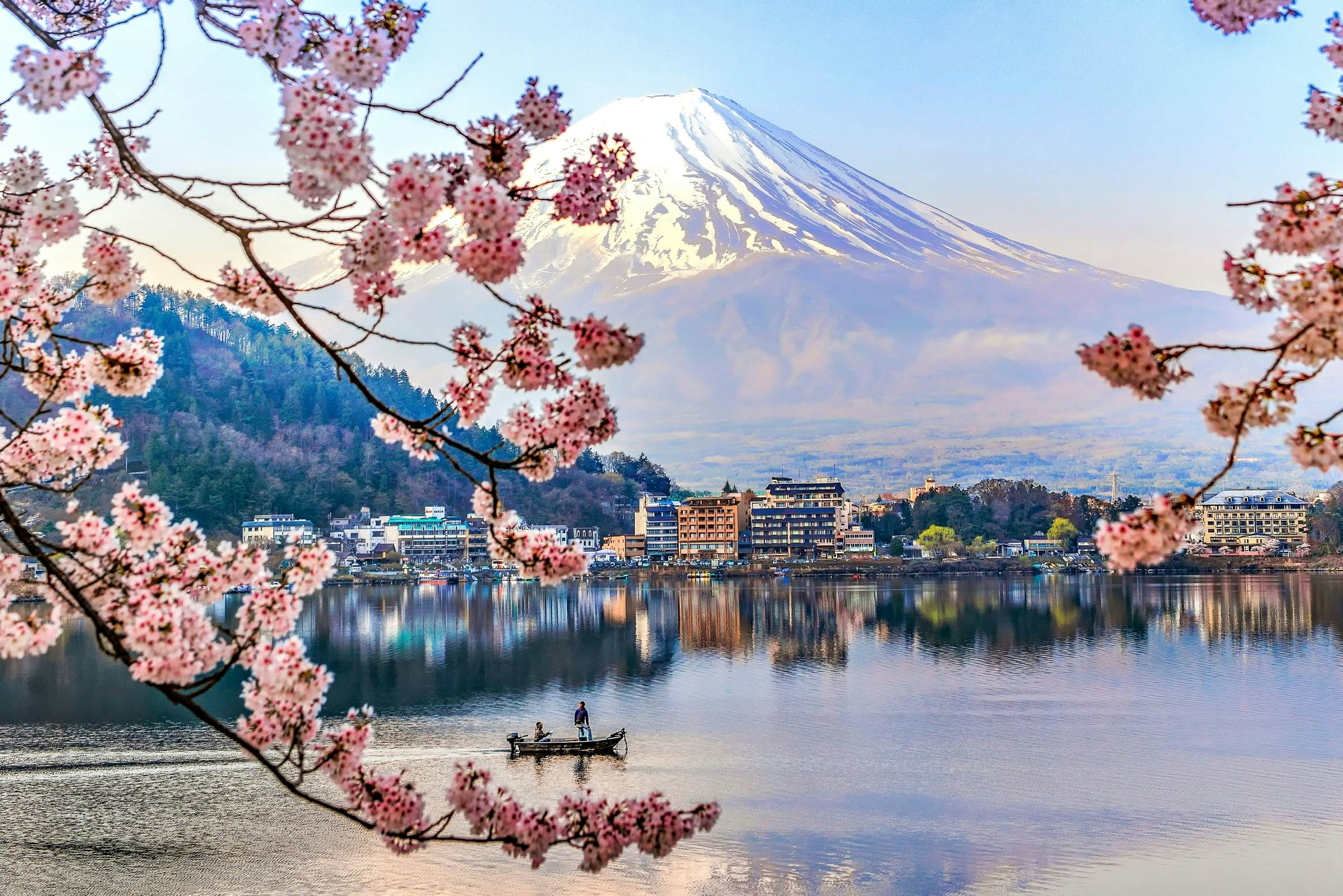 Japan S Famed Cherry Blossoms Are Set To Arrive Early In Lonely Planet