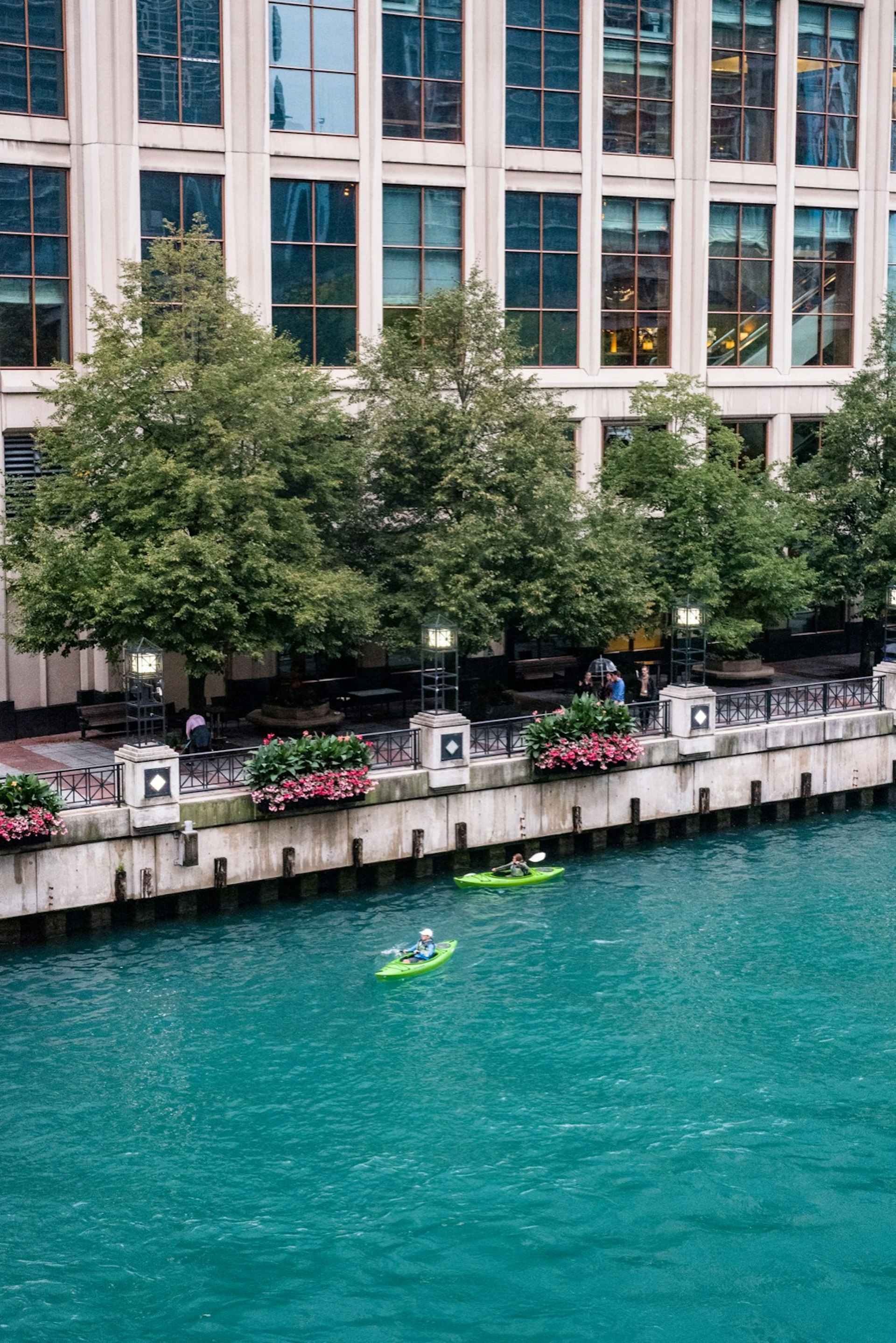 Two kayakers paddle down the Chicago River surrounded by high rises