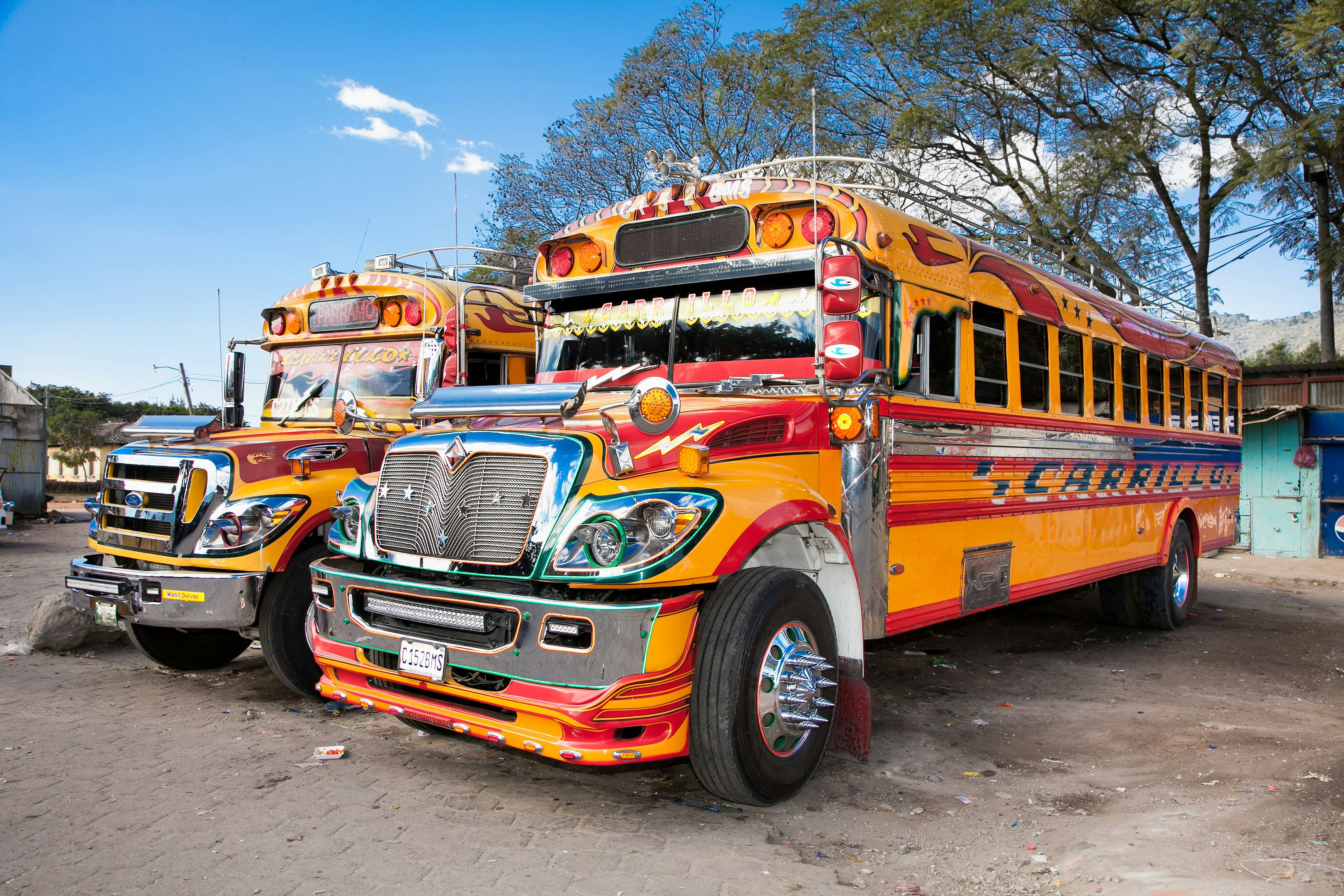 A pair of school buses painted with bright colors and chrome details sit parked on a road