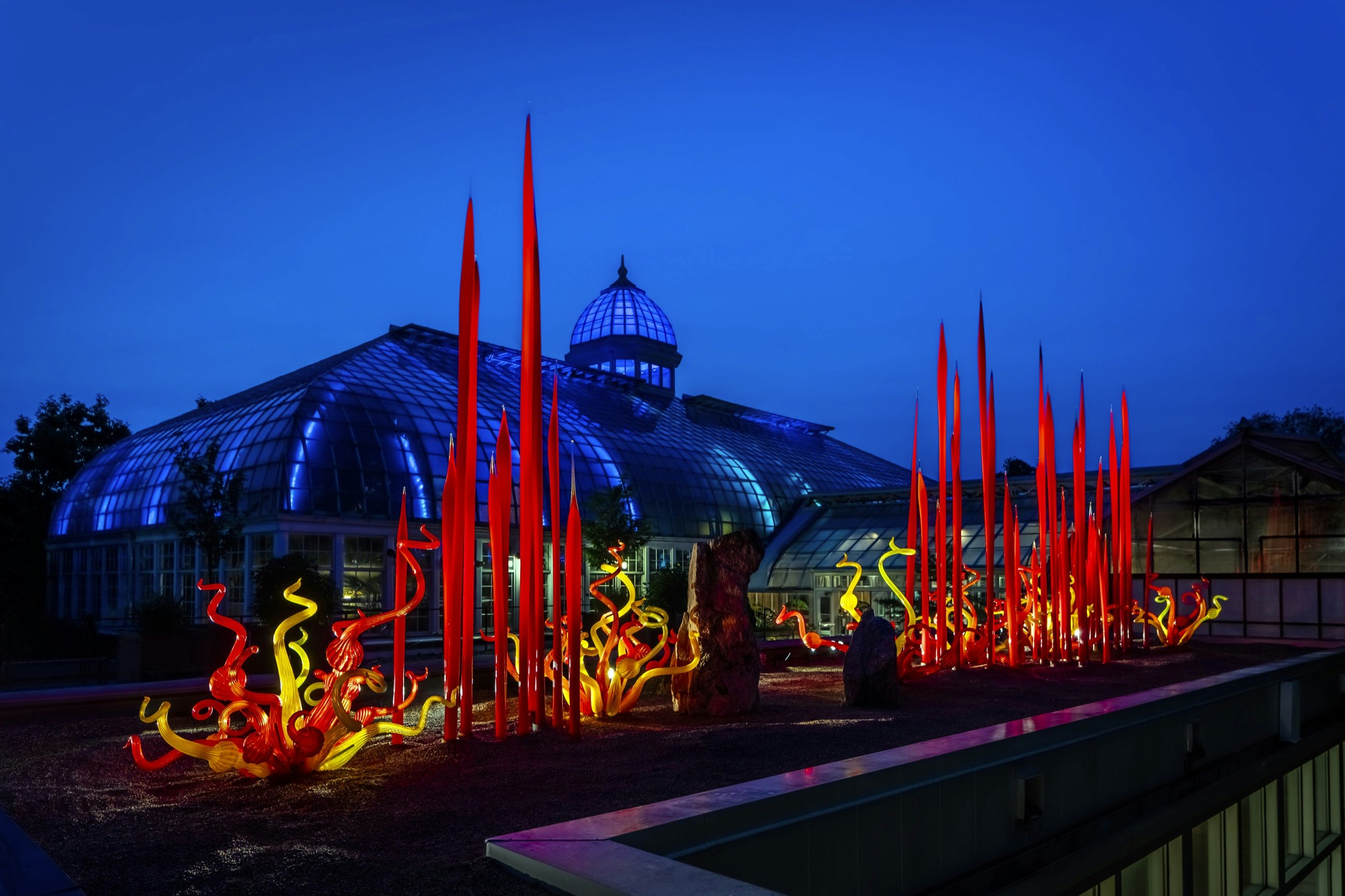 Spiky red tendrils of illuminated glass, surrounded by shorter curled ones of other warm colors, stand out at twilight in the garden of a museum; Where to see Chihuly in the USA