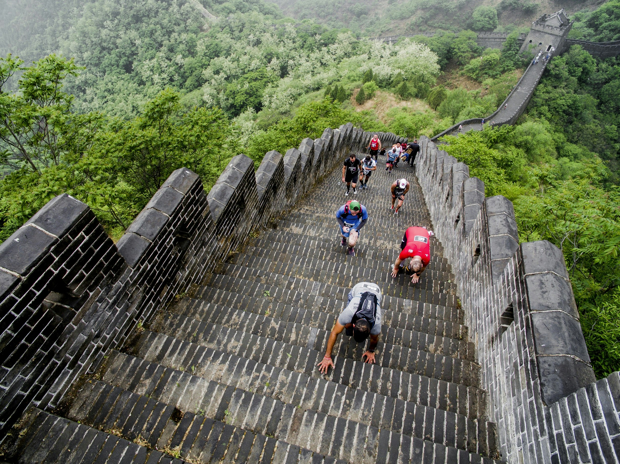 Competitors clamber up a steep section of steps on the Great Wall of China during the marathon; the wall descends behind them into the distance, with trees on each side of it.