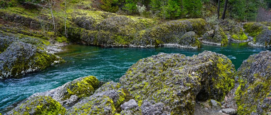 Moss-covered rocks sit in a blue-green river with lush wilderness around it