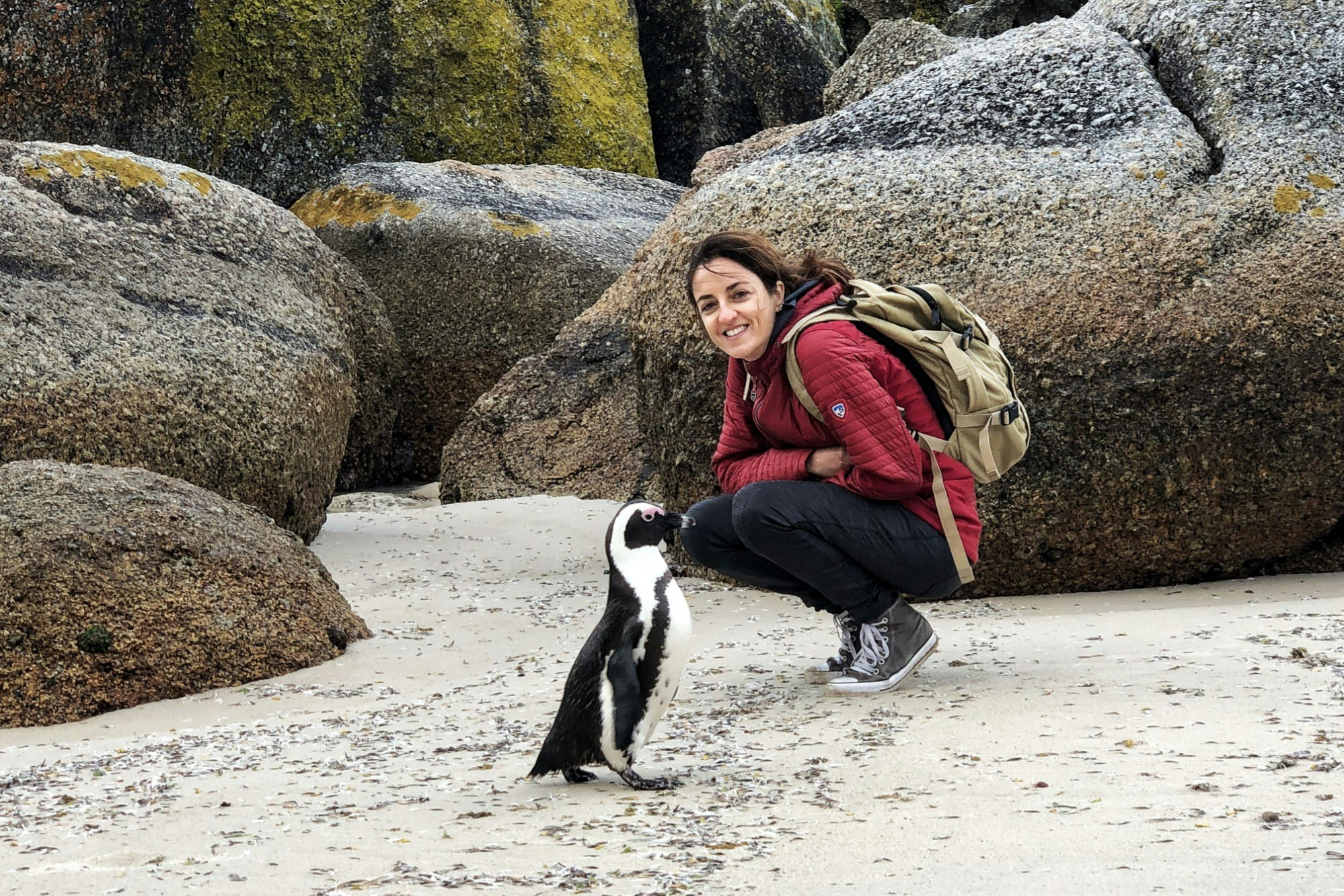 Claudia crouches down on a beach next to a penguin.