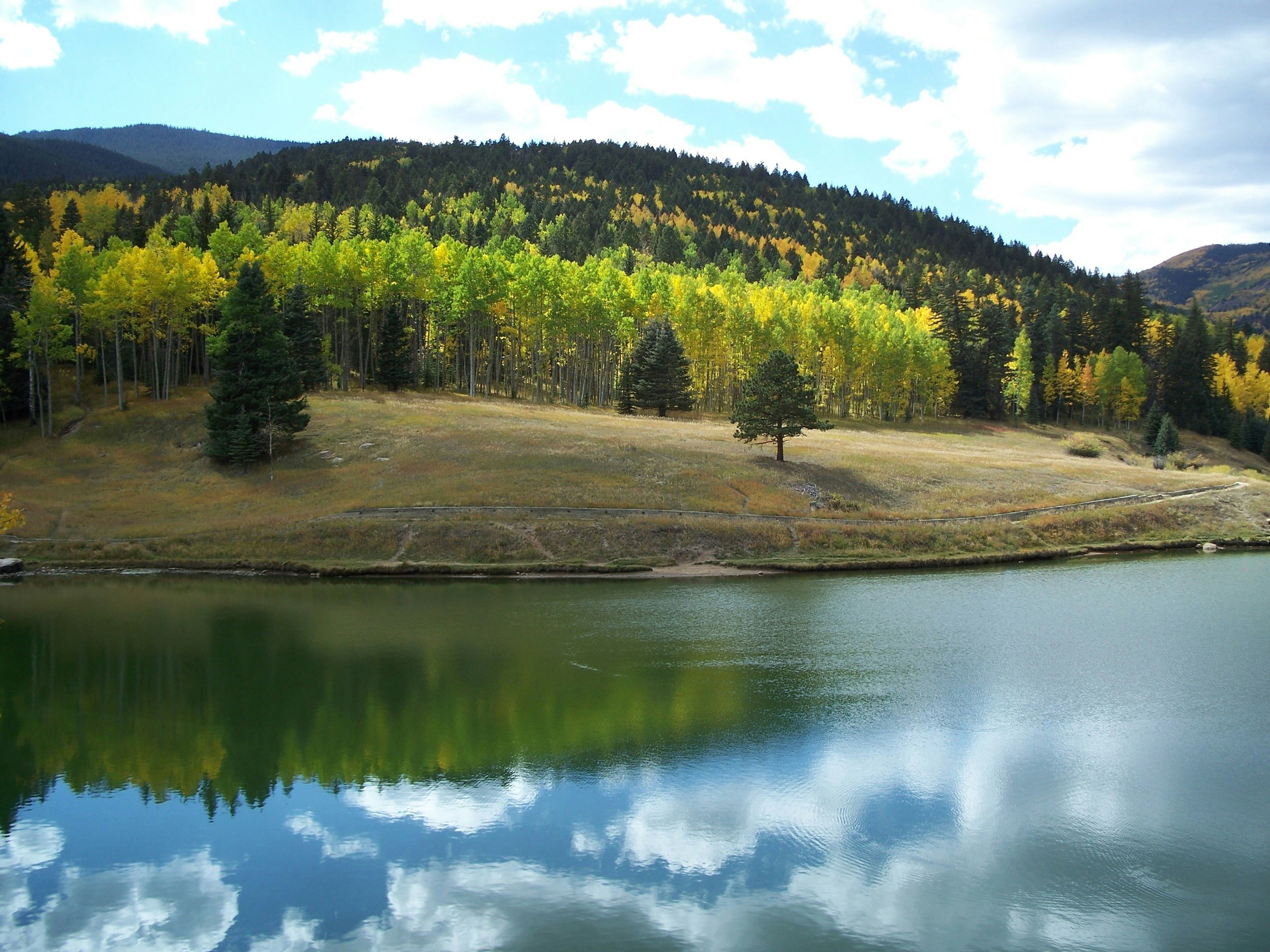 A small lake sits at the base of a wooded hill in Colorado