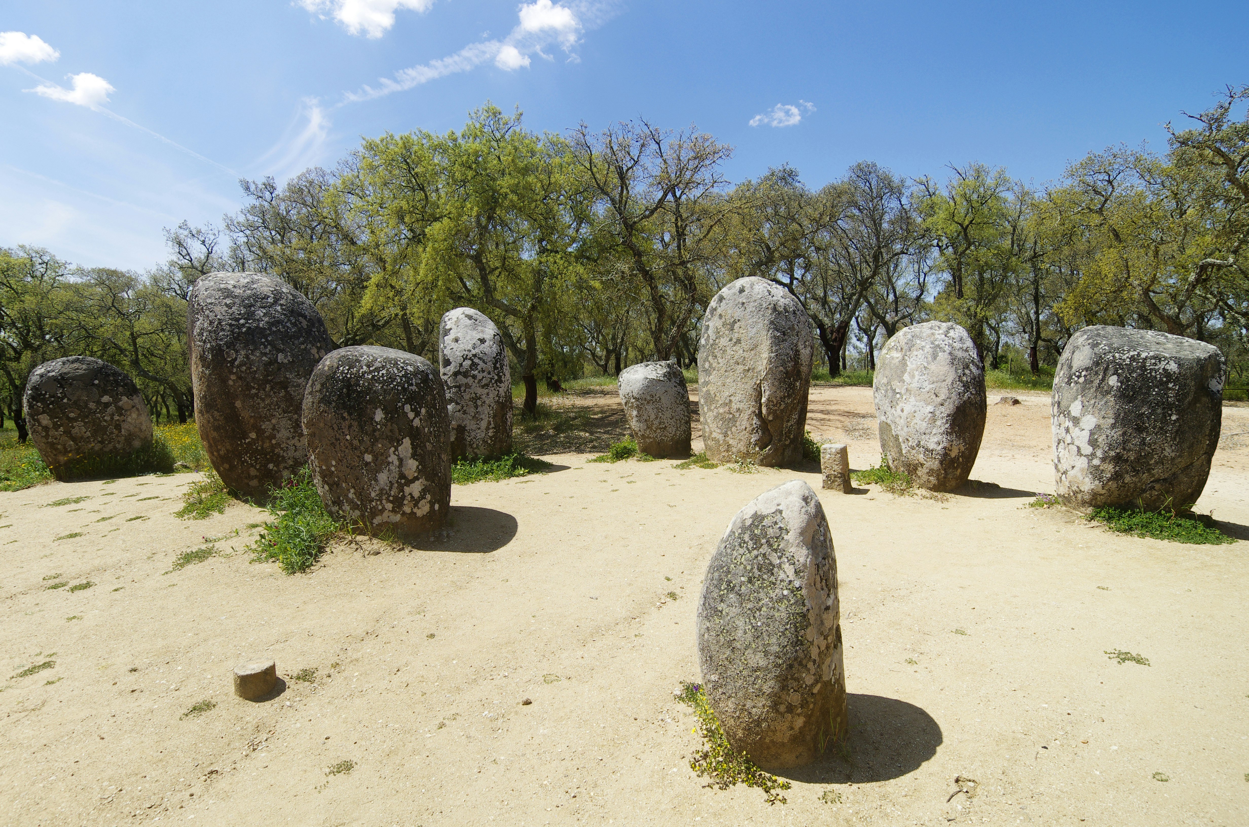 A collection of stone circles are placed in a semi circle on a sandy clearing near a forest in Portugal.
