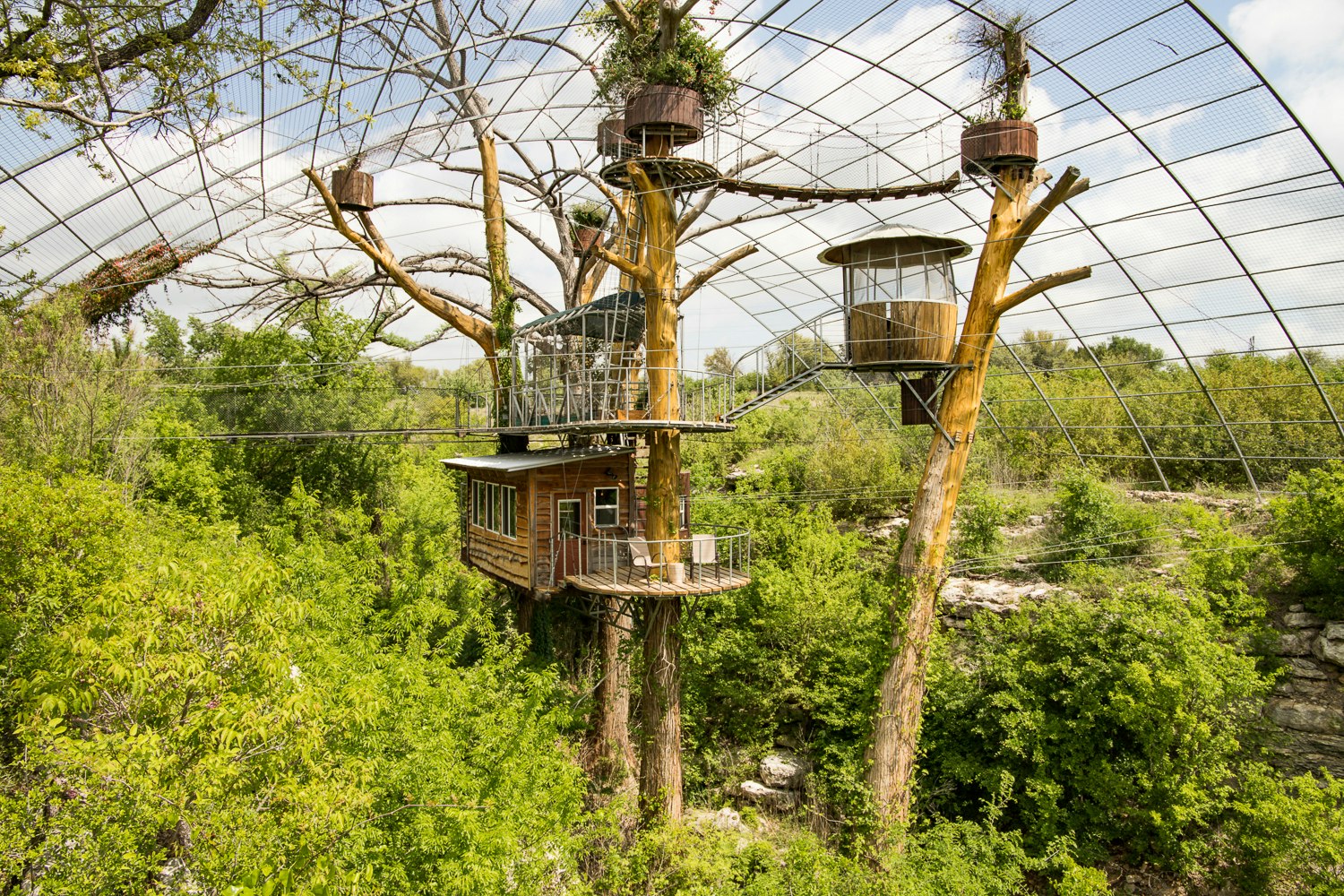 A network of interlinked treehouses over green bushes and trees