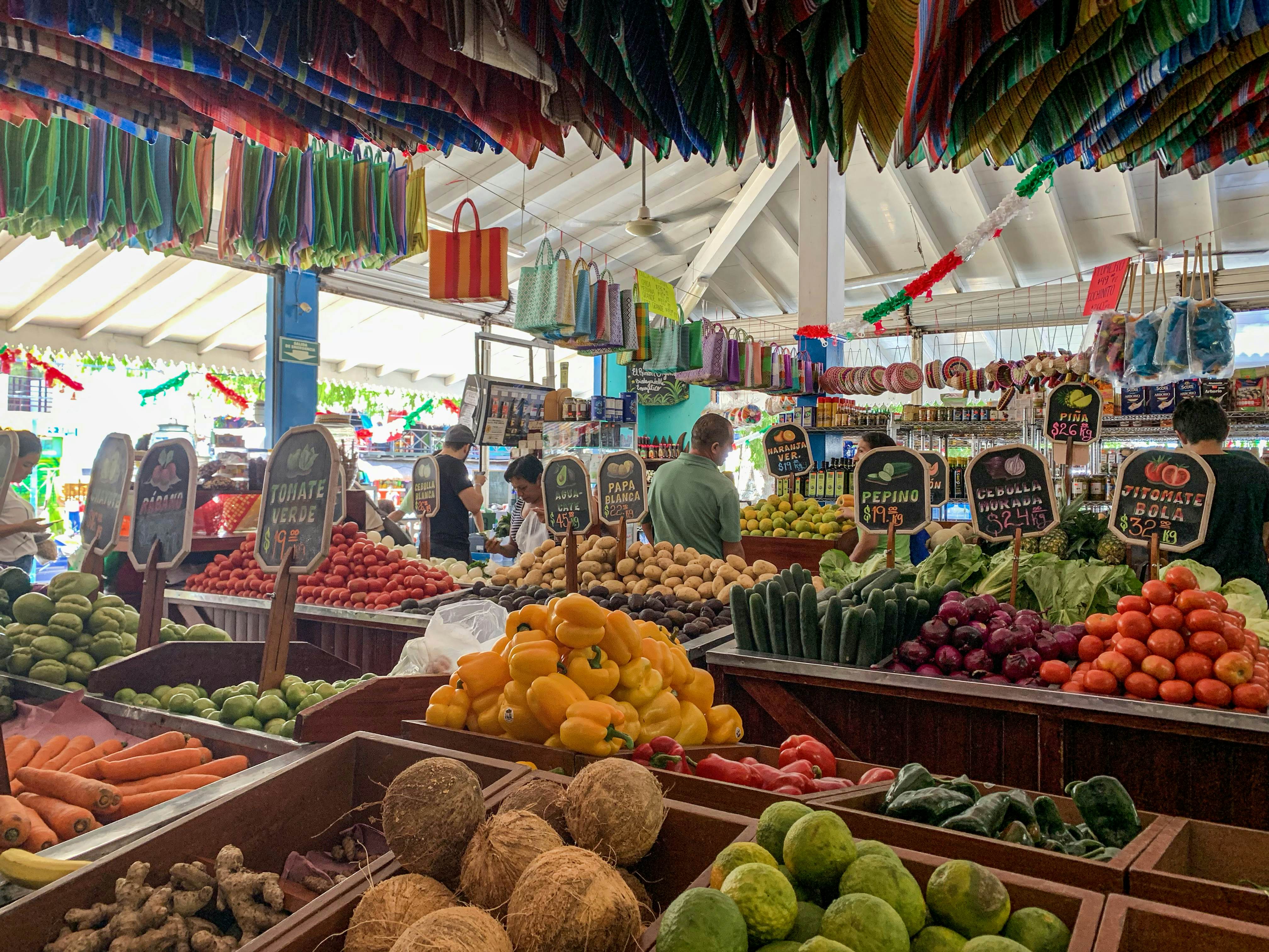 The best places to eat and drink in Playa del Carmen Lonely