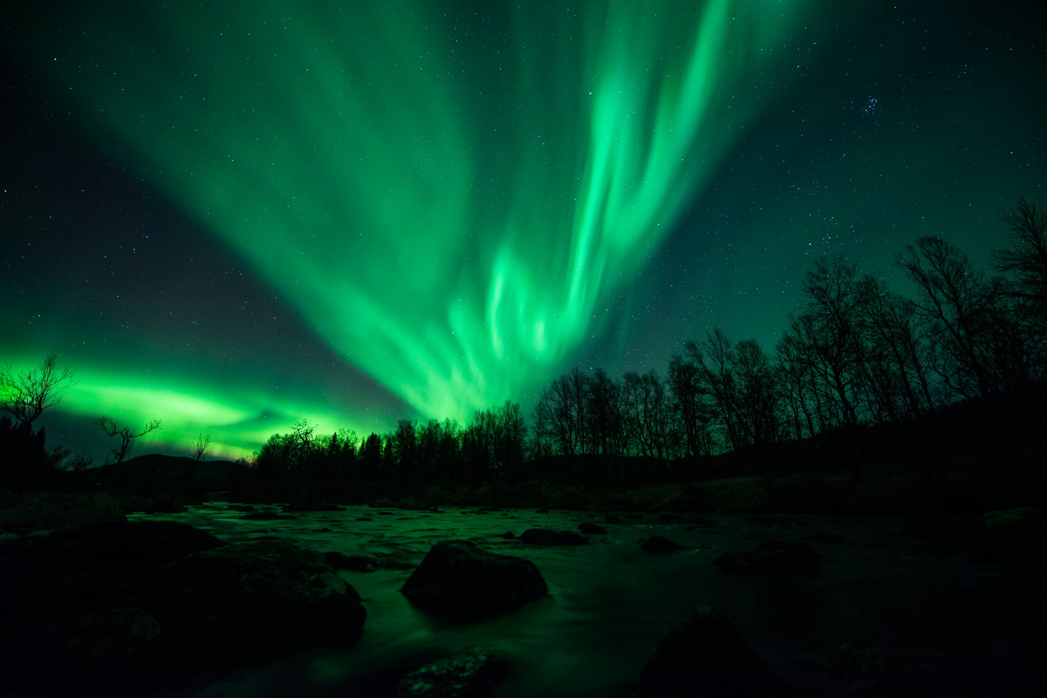 The characteristic green coloured wisps of the aurora borealis flash across the night sky and gently illuminate the forest scene beneath them.