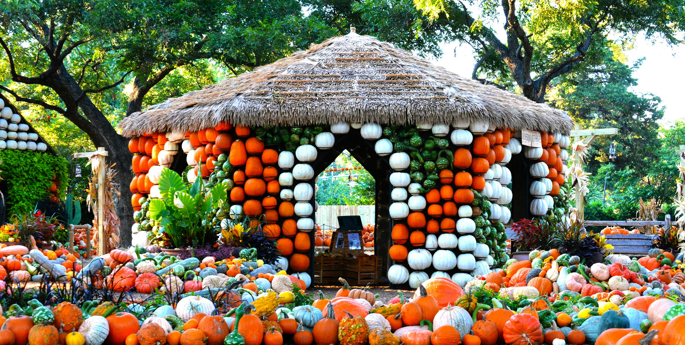 A large collection of pumpkins and squash of varying sizes and colors are placed in front of a thatched-roof hut that's outlined with orange and white pumpkins
