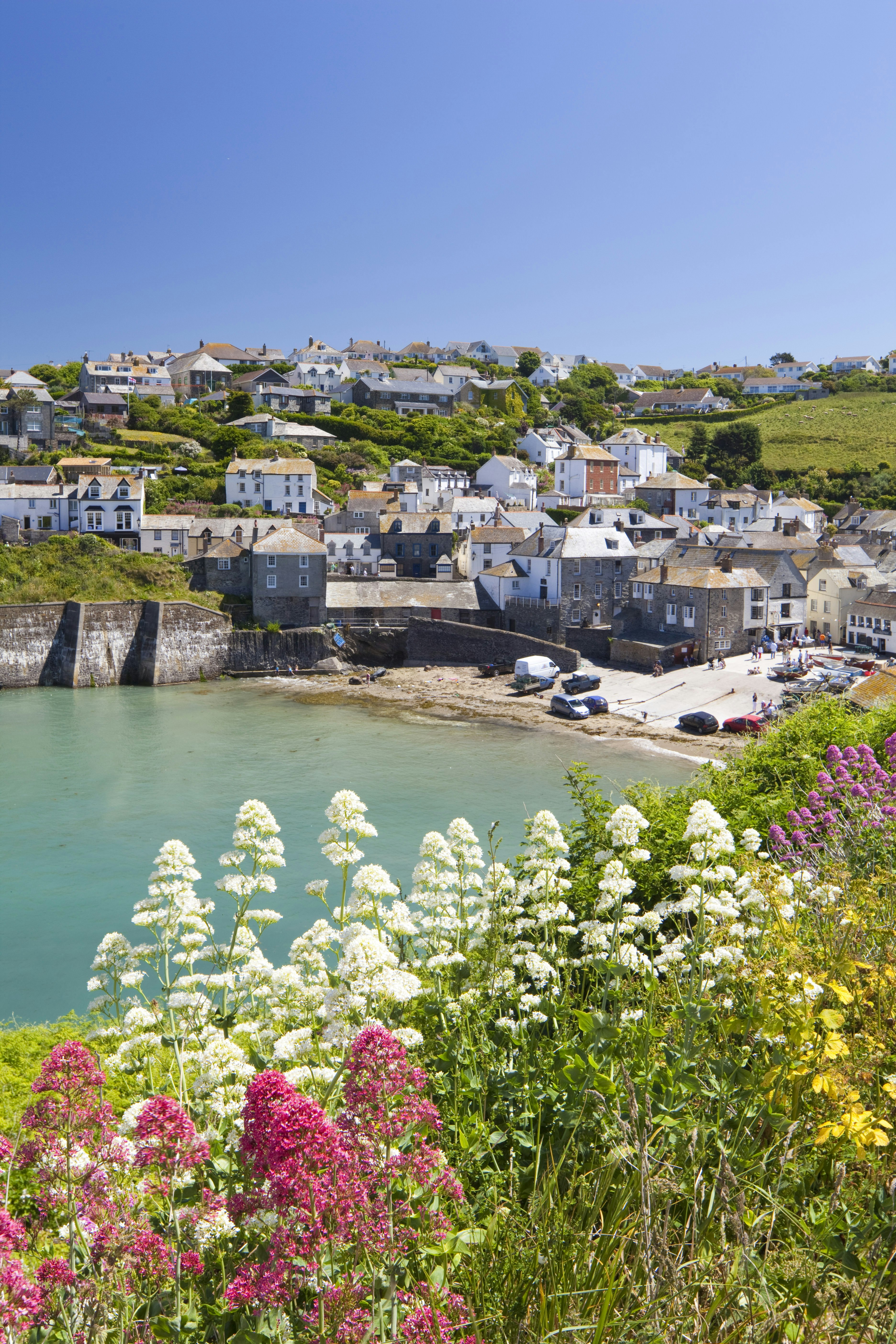 Valerium on the cliffs at Port Isaac in Cornwall