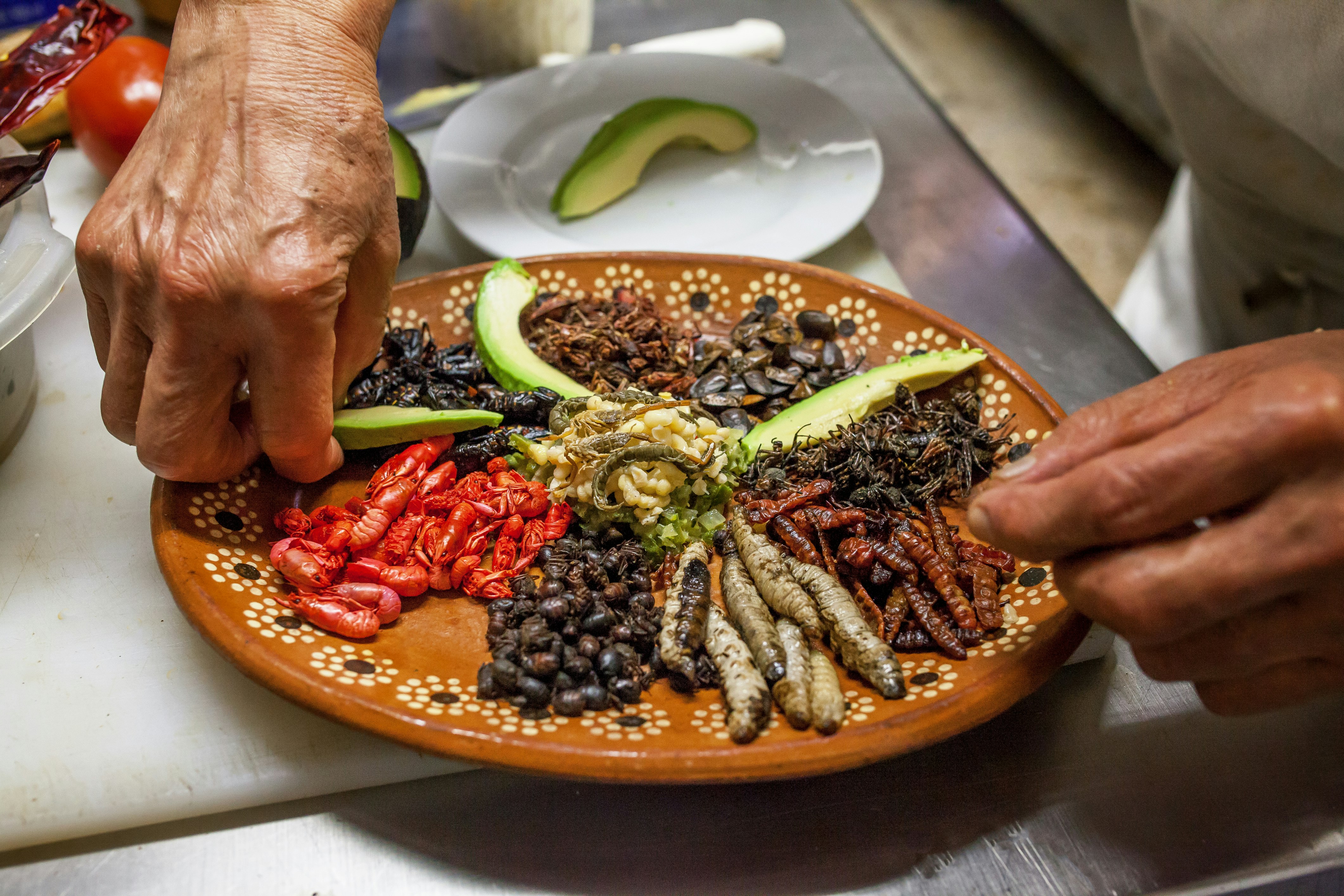 I en mexikansk lertallrik förbereder en kock med många olika insektsrätter från Mexiko.