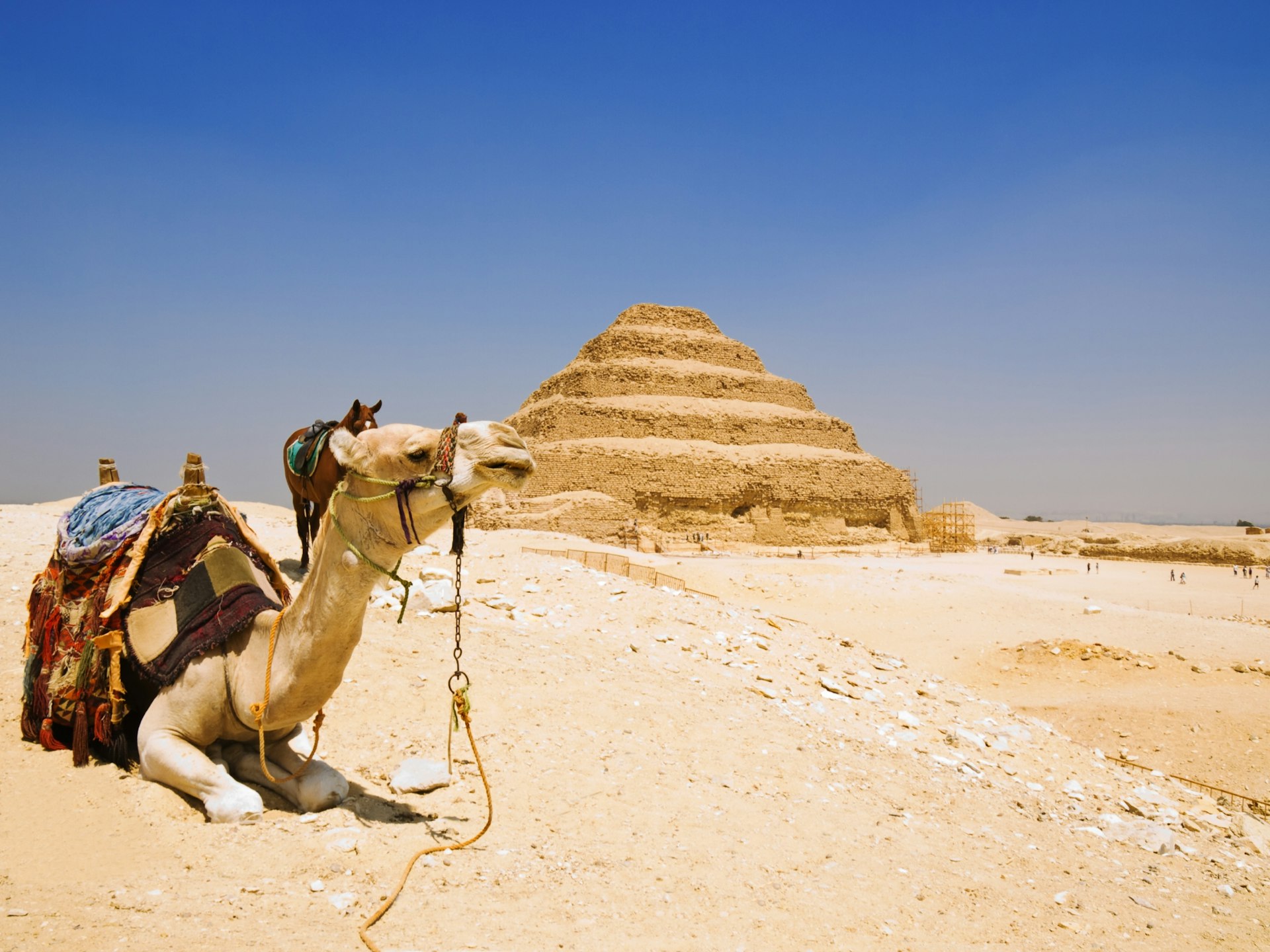 a camel in front of the Djoser step pyramid before its restoration