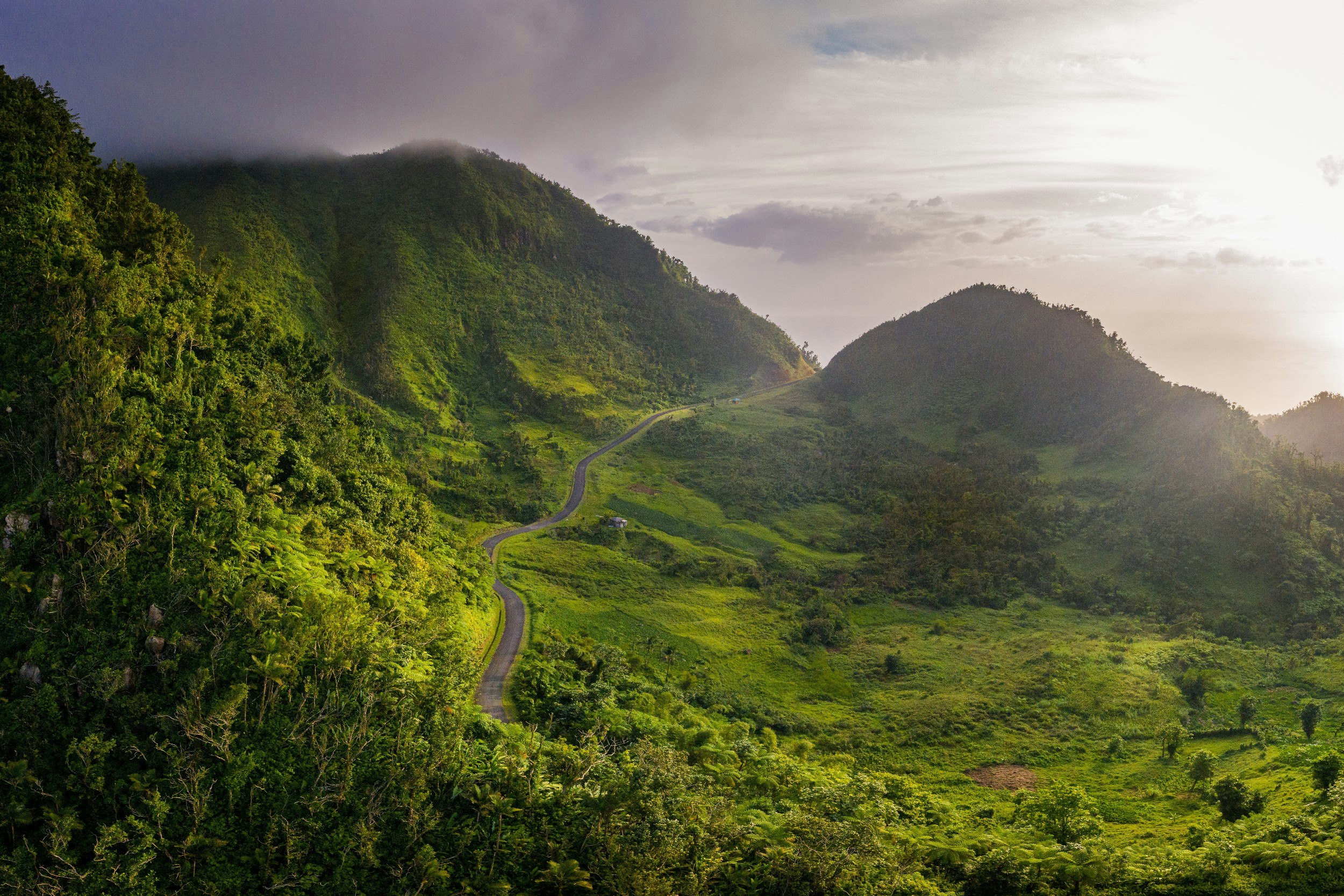 A hiking trail in Dominica