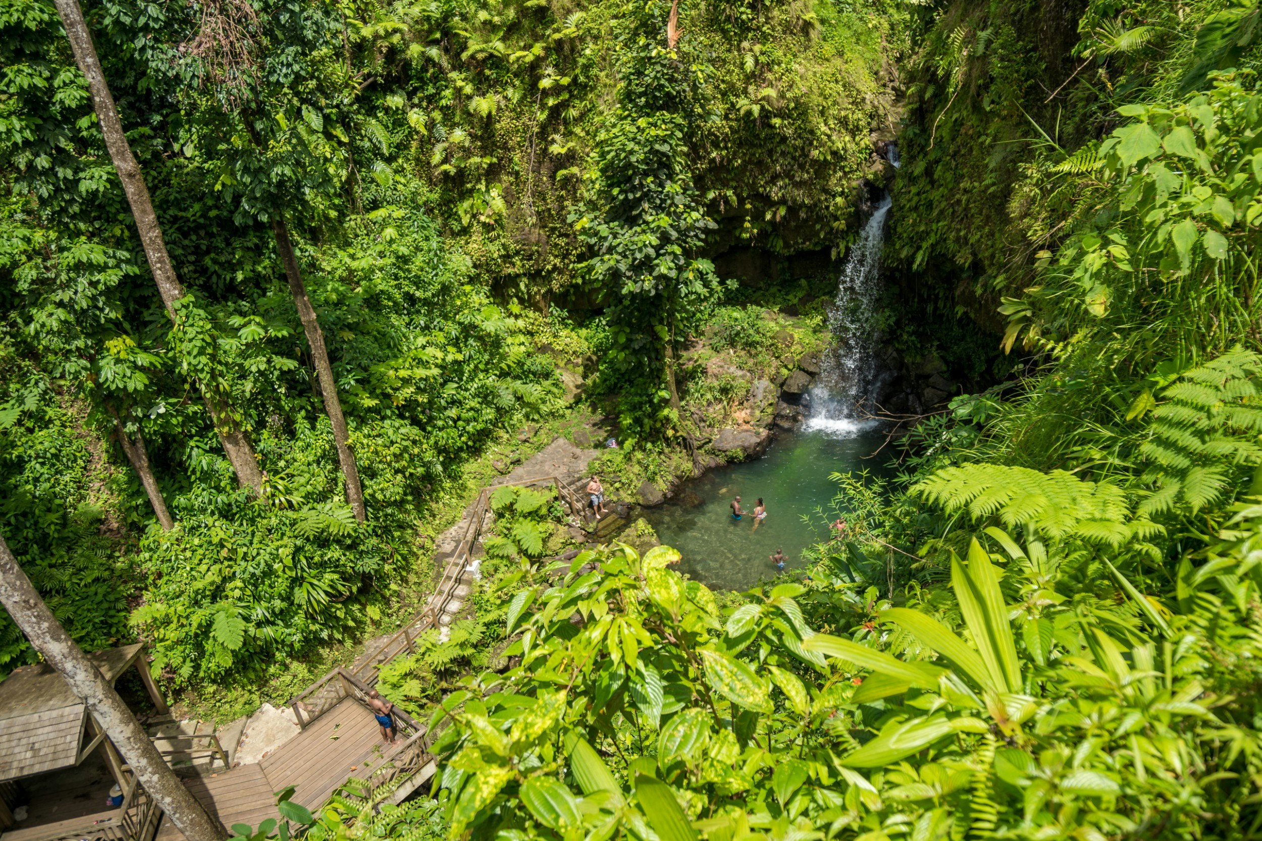 A view of a waterfall and forest in Dominica