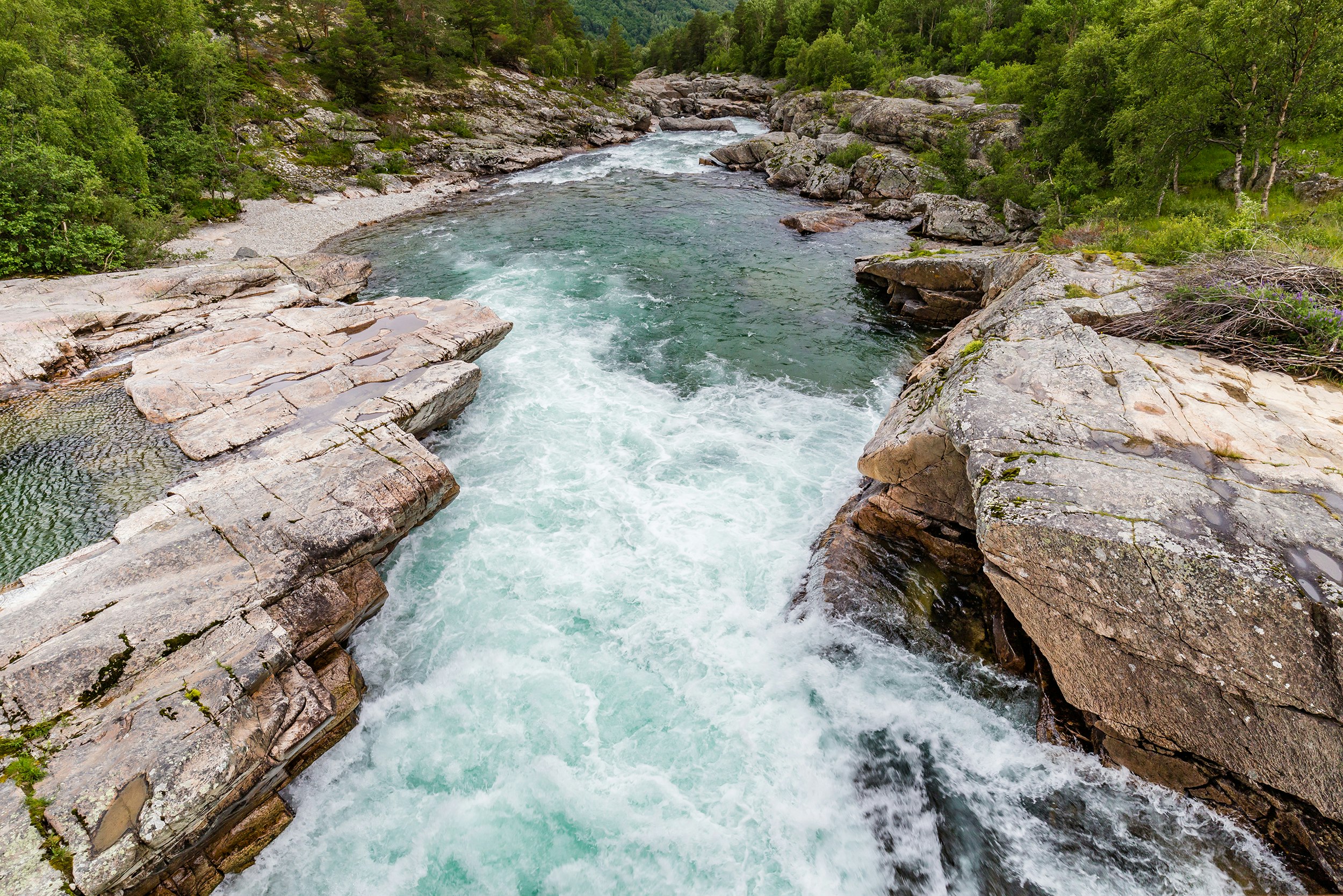 A river of whitewater surrounded by large boulders