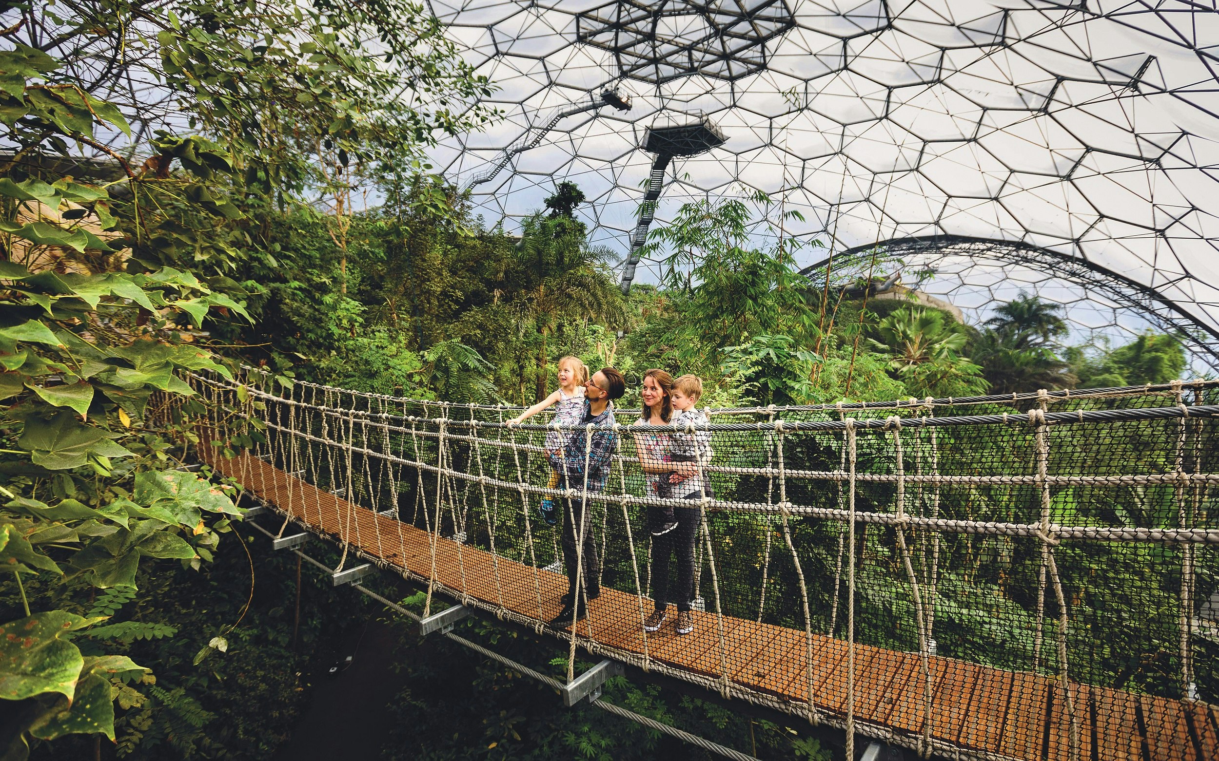 A family of two adults and two children stand on a rope bridge surrounded by jungle. A glass roof arches above them.