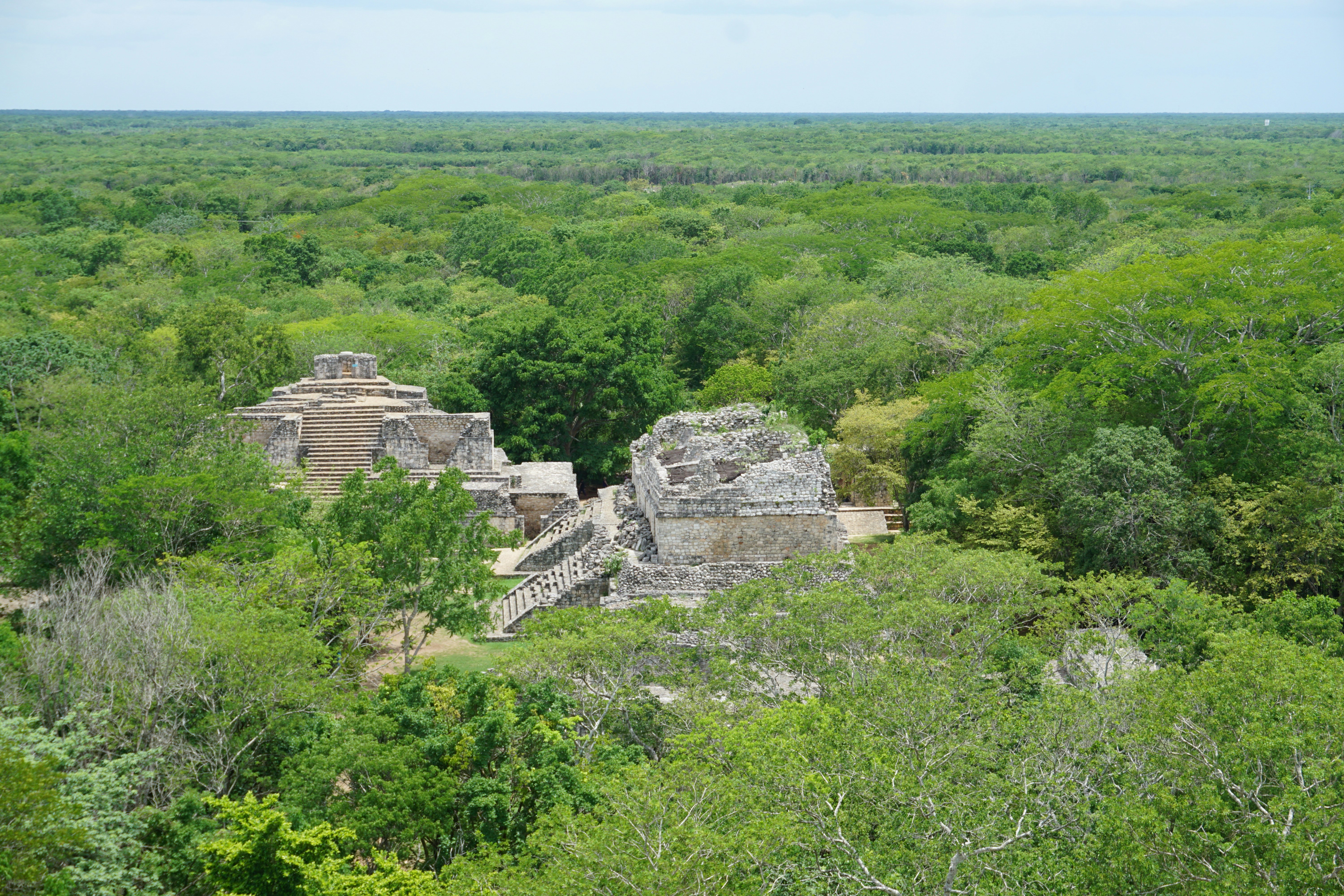 A view looking down over crumbling Mayan pyramids amidst a thick green forest