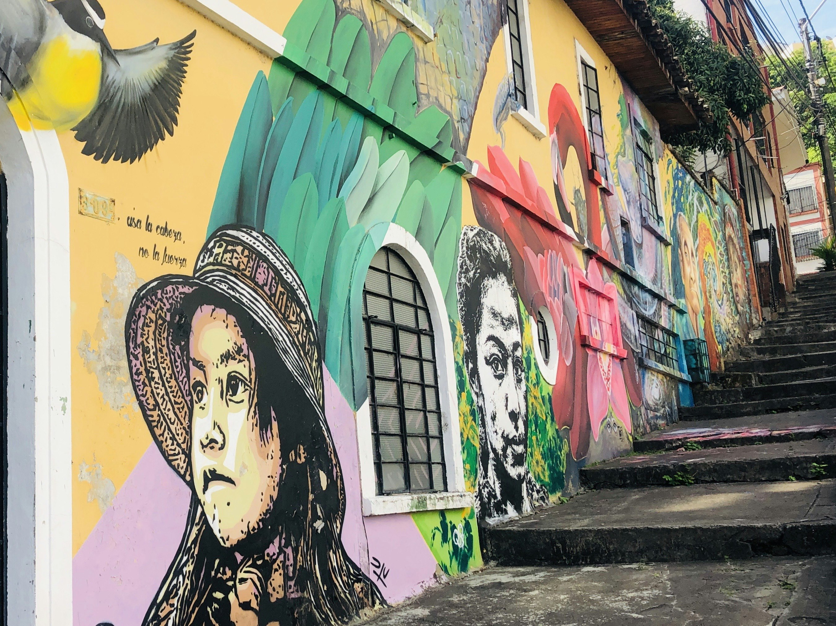 The side of a building is painted with beautiful images of young women and colorful birds; Cali Colombia