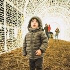 Enchant-Christmas-Light-Tunnel-Boy.jpg