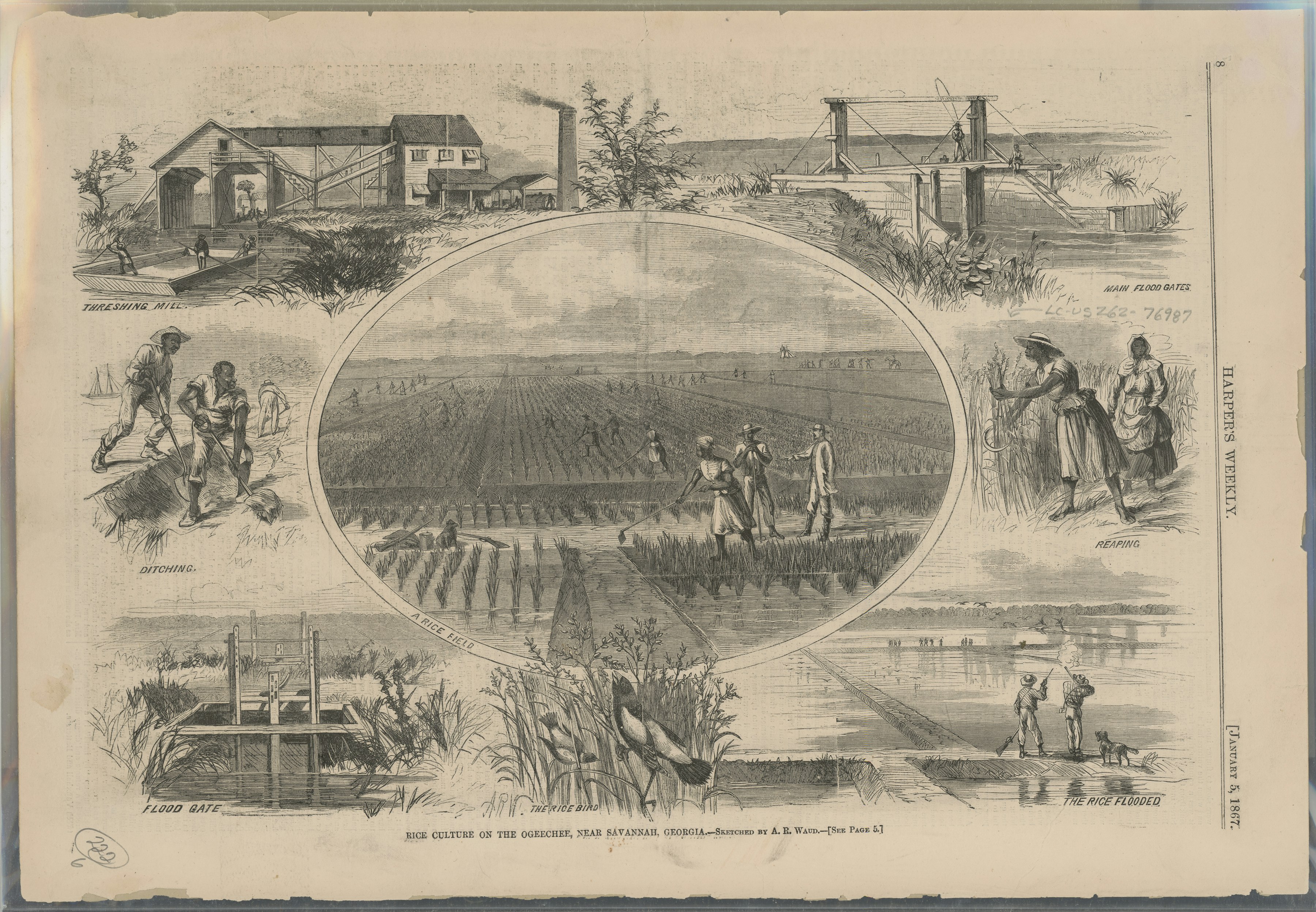 An illustration from the January 5, 1867, edition of Harper's Weekly, detailing the rice culture on the Ogechee Canal near Savannah, Georgia. 