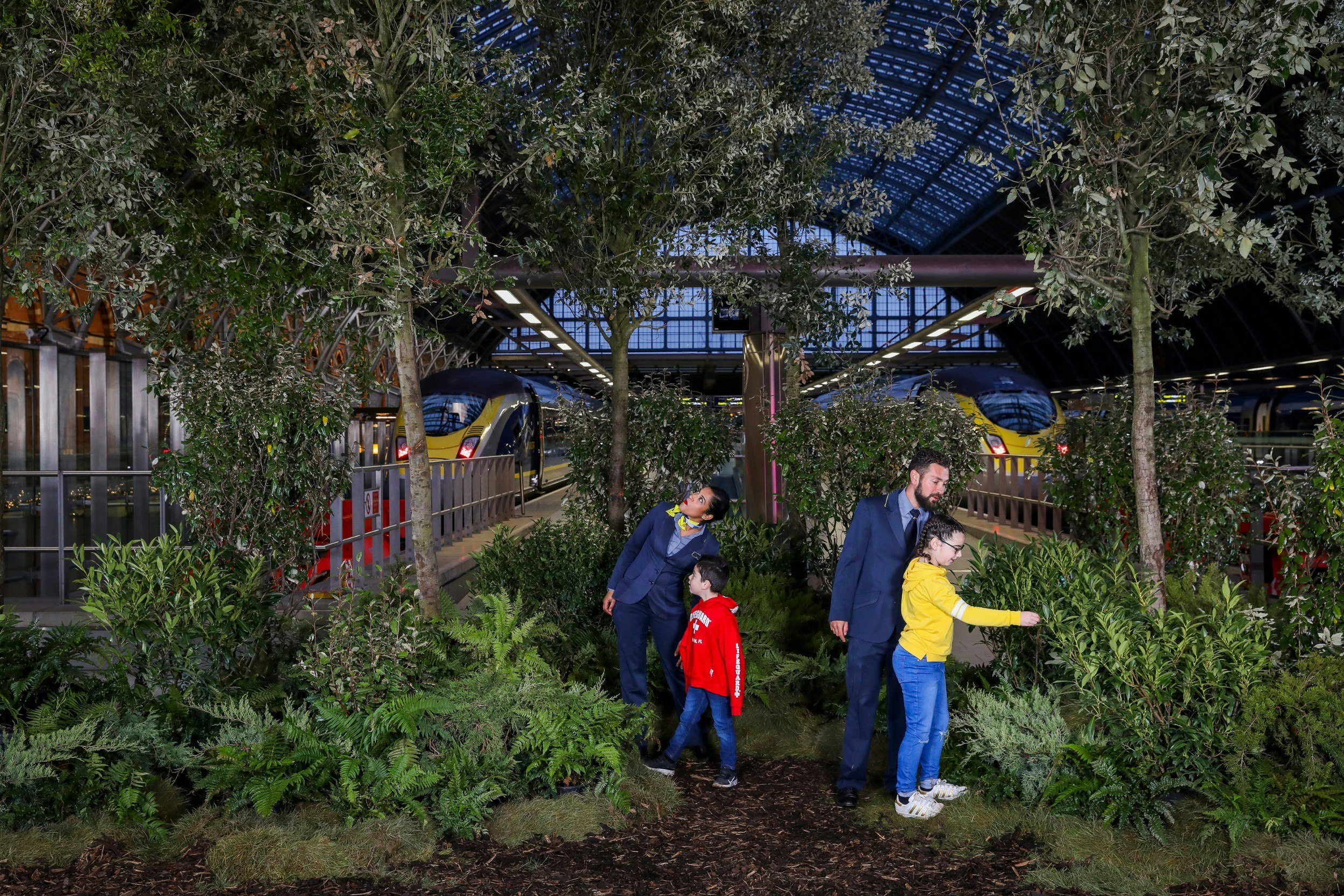 A woodland scene is created on the Eurostar platforms as the high-speed service marks its 25th anniversary with new environmental commitments at St Pancras Station