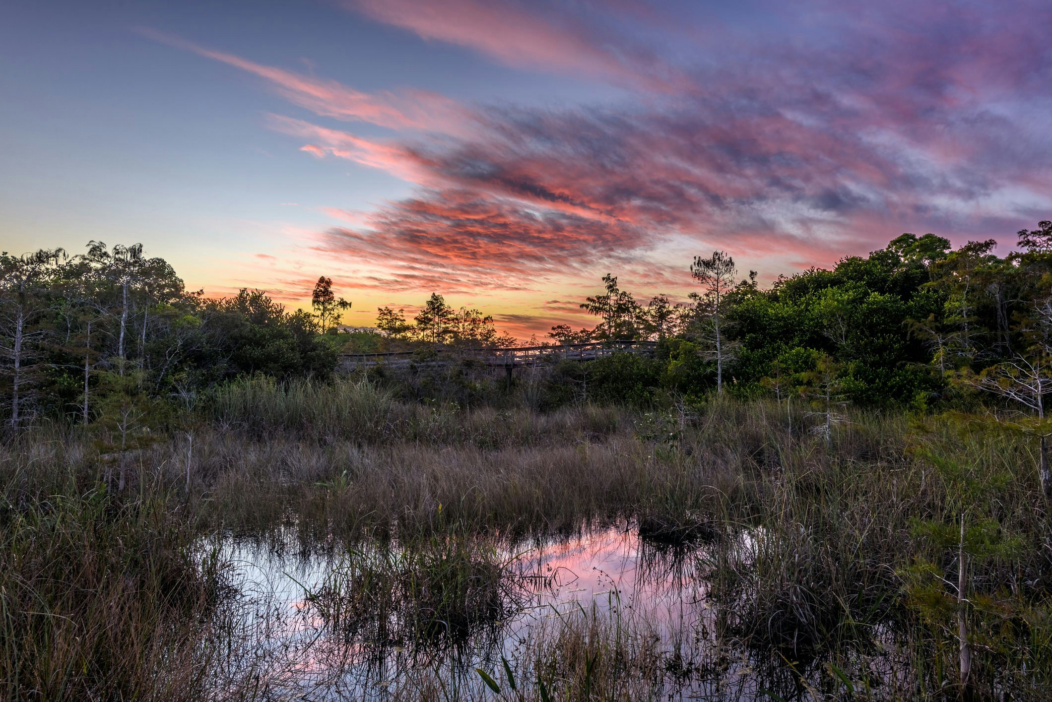 Sunset at Pa-Hay-Okee Overlook in the Everglades National Park.jpg