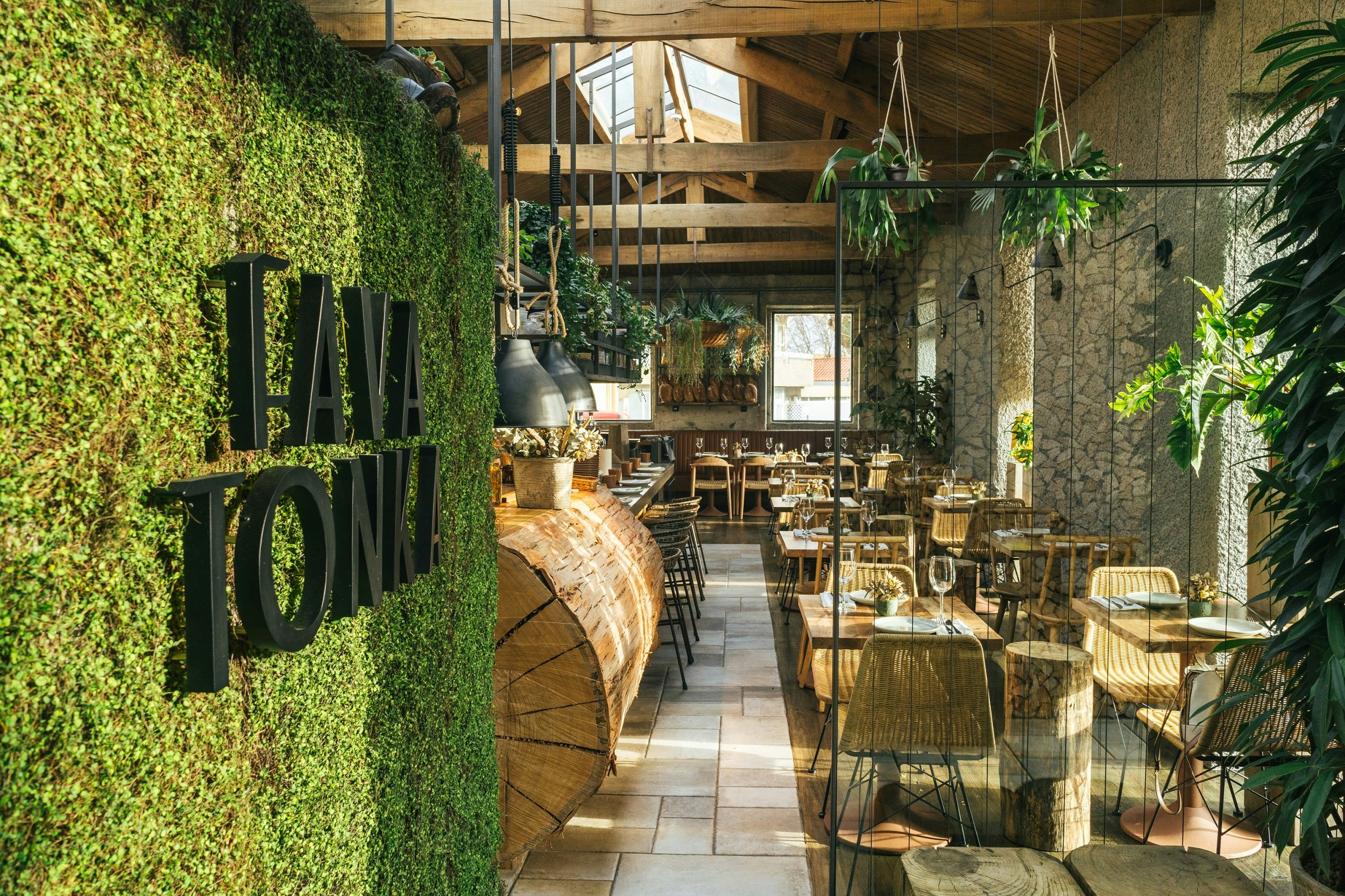 This image looks along a living wall of greenery, with large black letters hanging on it that spell Fava Tonka; beyond the wall, and behind a glass partition is an open-plan restaurant, with high vaulted ceilings with warm oak beams and large skylights. The bar is made of mammoth log, the chairs woven.
