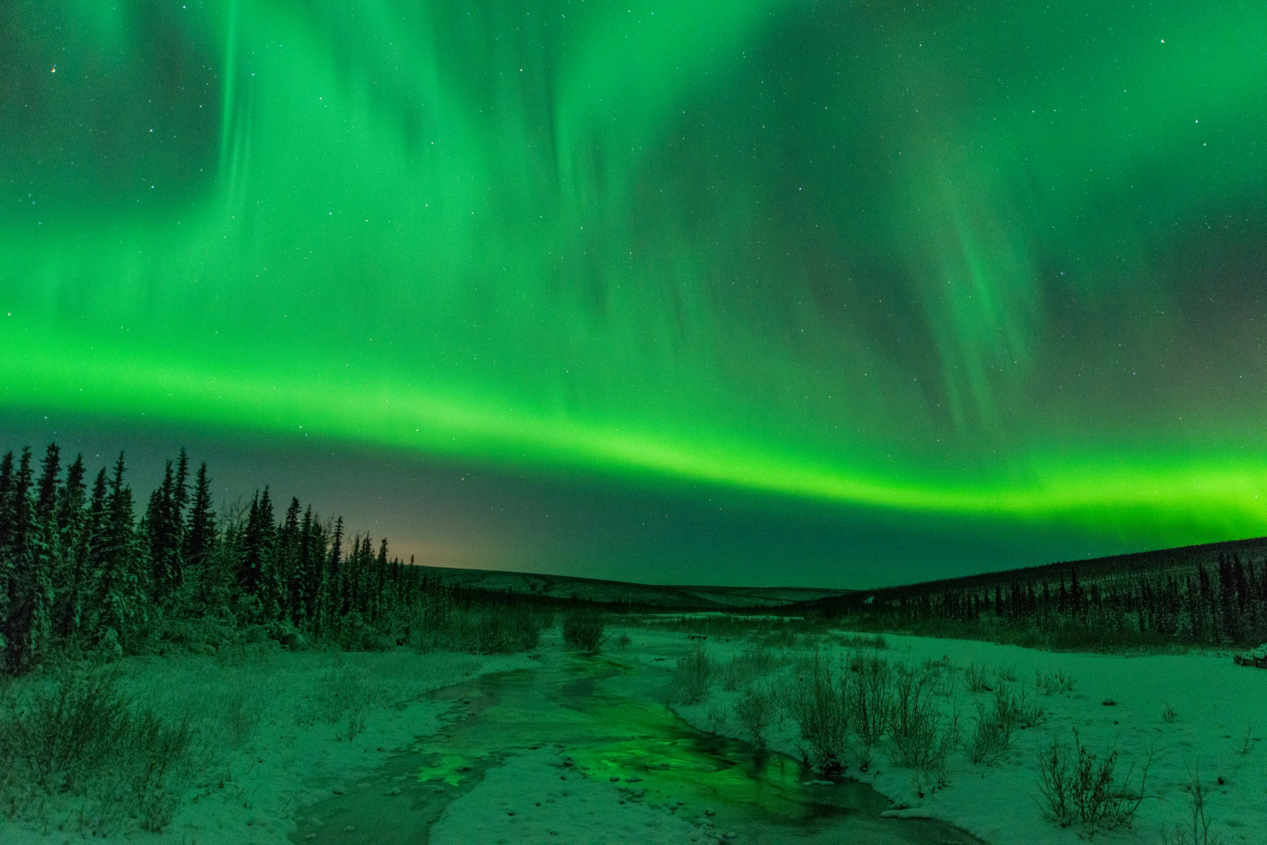 The Aurora Borealis, or Northern Lights, are seen in the sky near Fairbanks