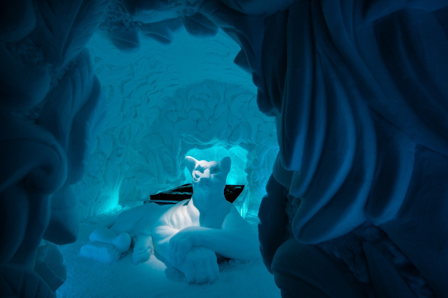 Feline Lair design at the Icehotel