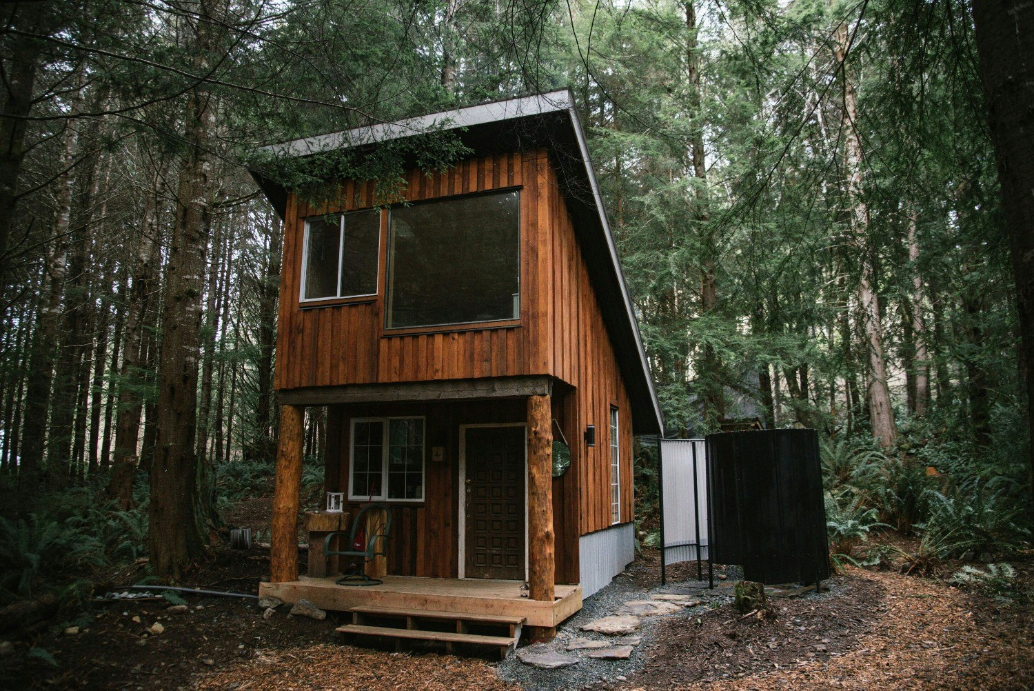 Fern Gully, a rustic cabin set among trees