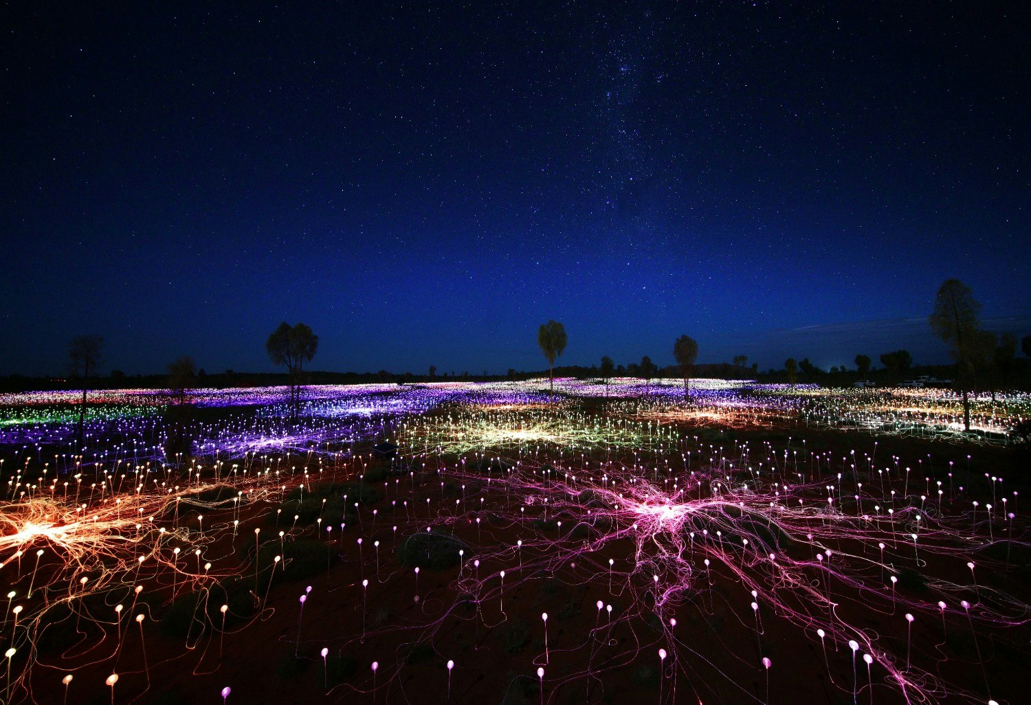 Field of Lights.jpg