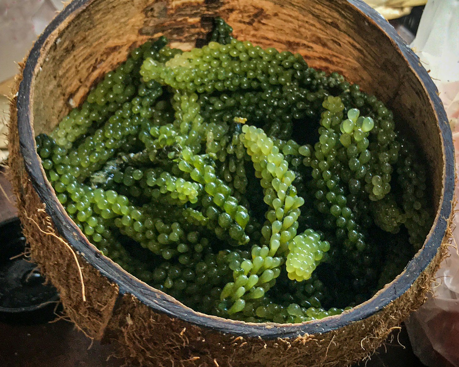 A wicket basket filled with light green sea grapes 