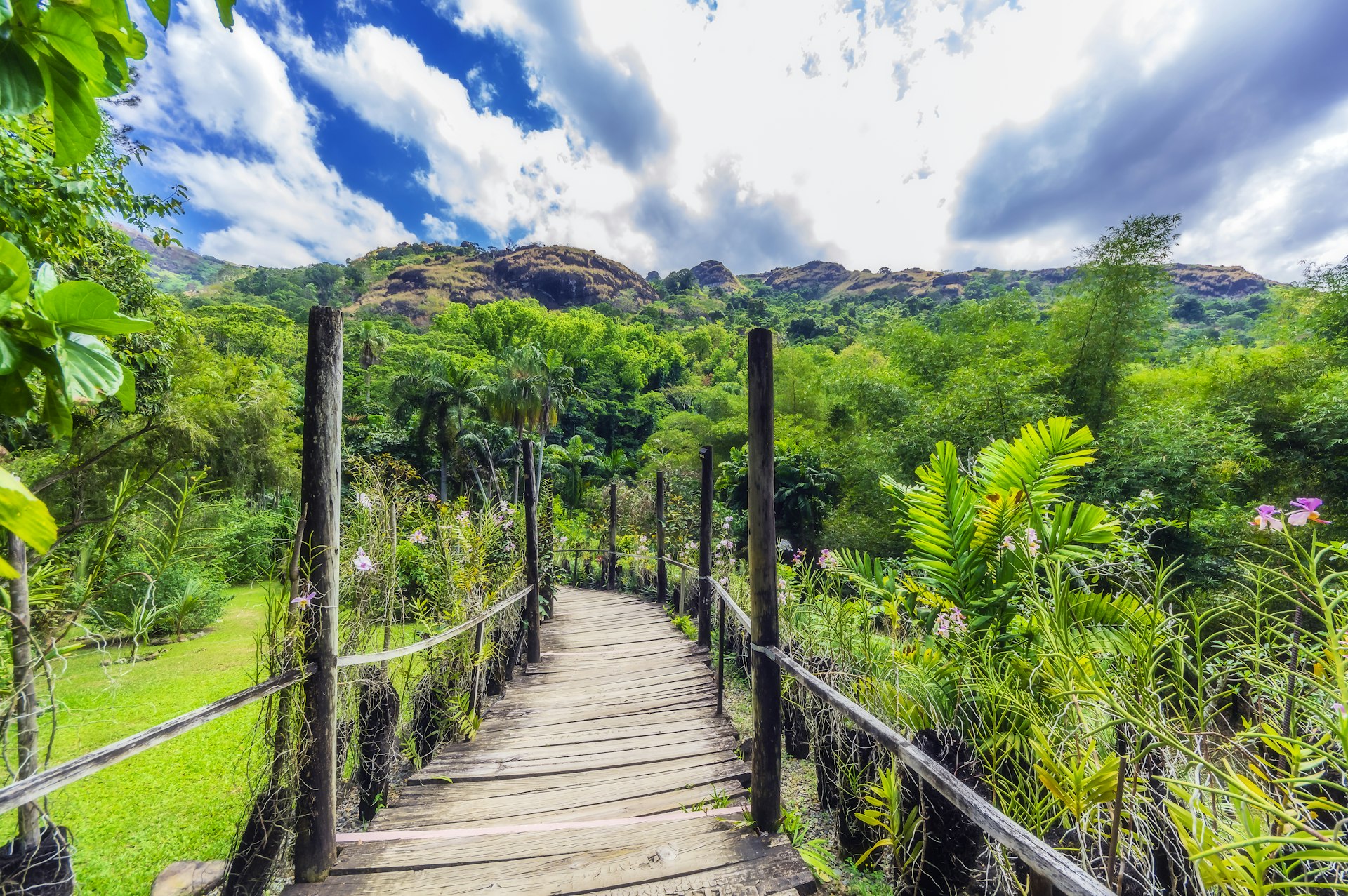 A wooden walkway flanked by greenery and flowers bends around a corner into the Garden of the Sleeping Giant; Fiji beyond resorts  