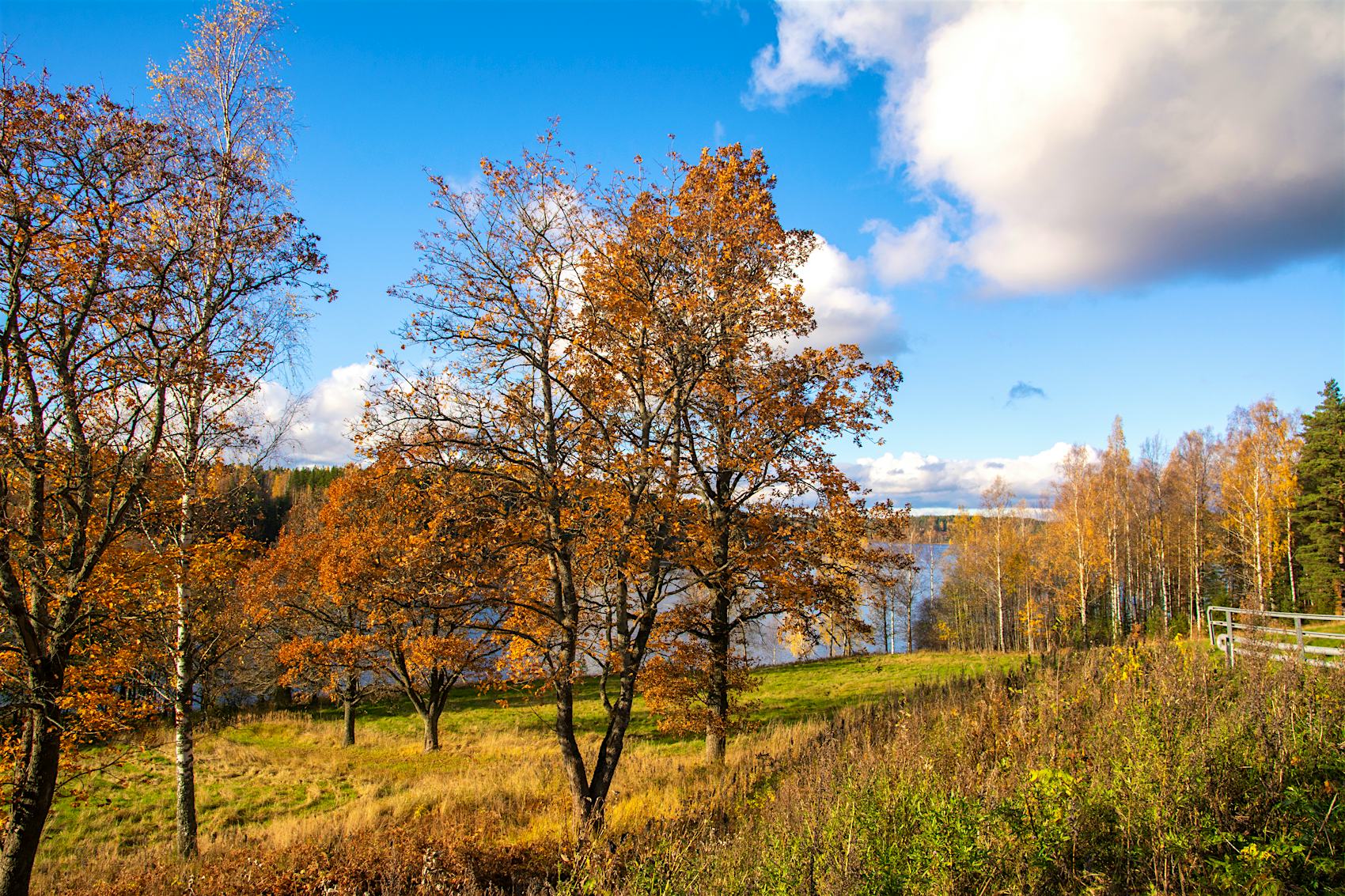 Autumn in Finland an alternative fall foliage tour Lonely