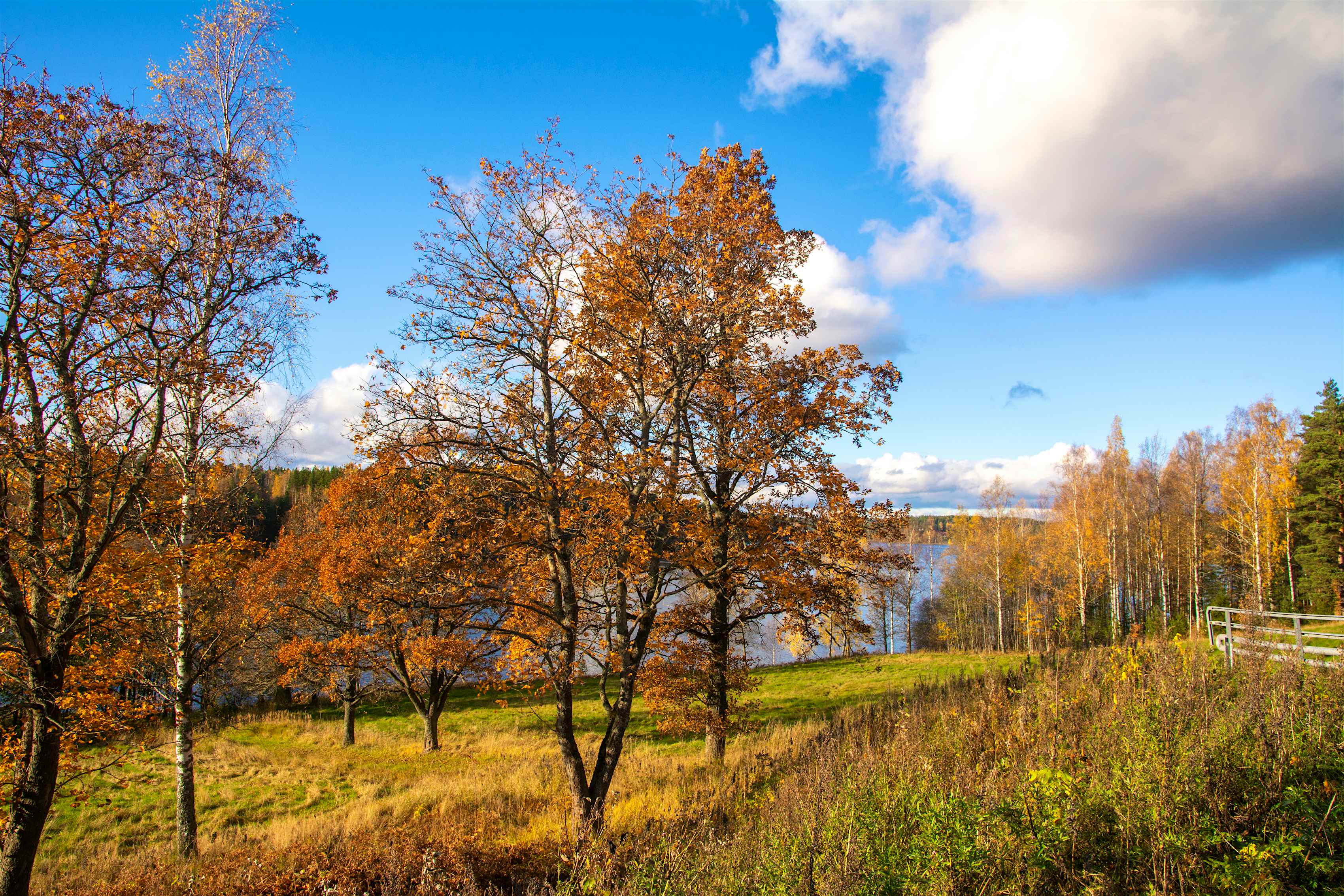 visit finland autumn foliage
