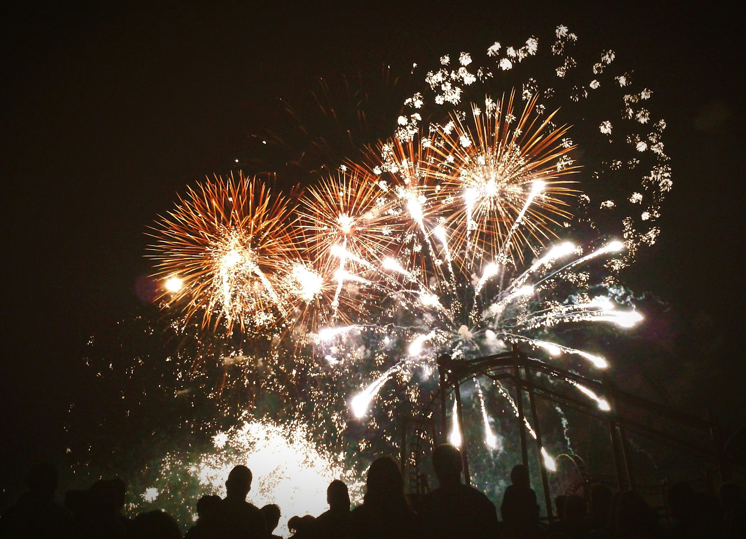 A firework display lights up the night sky. Below, and closer to the camera, silhouettes of a number of people, watching the show, are visible.