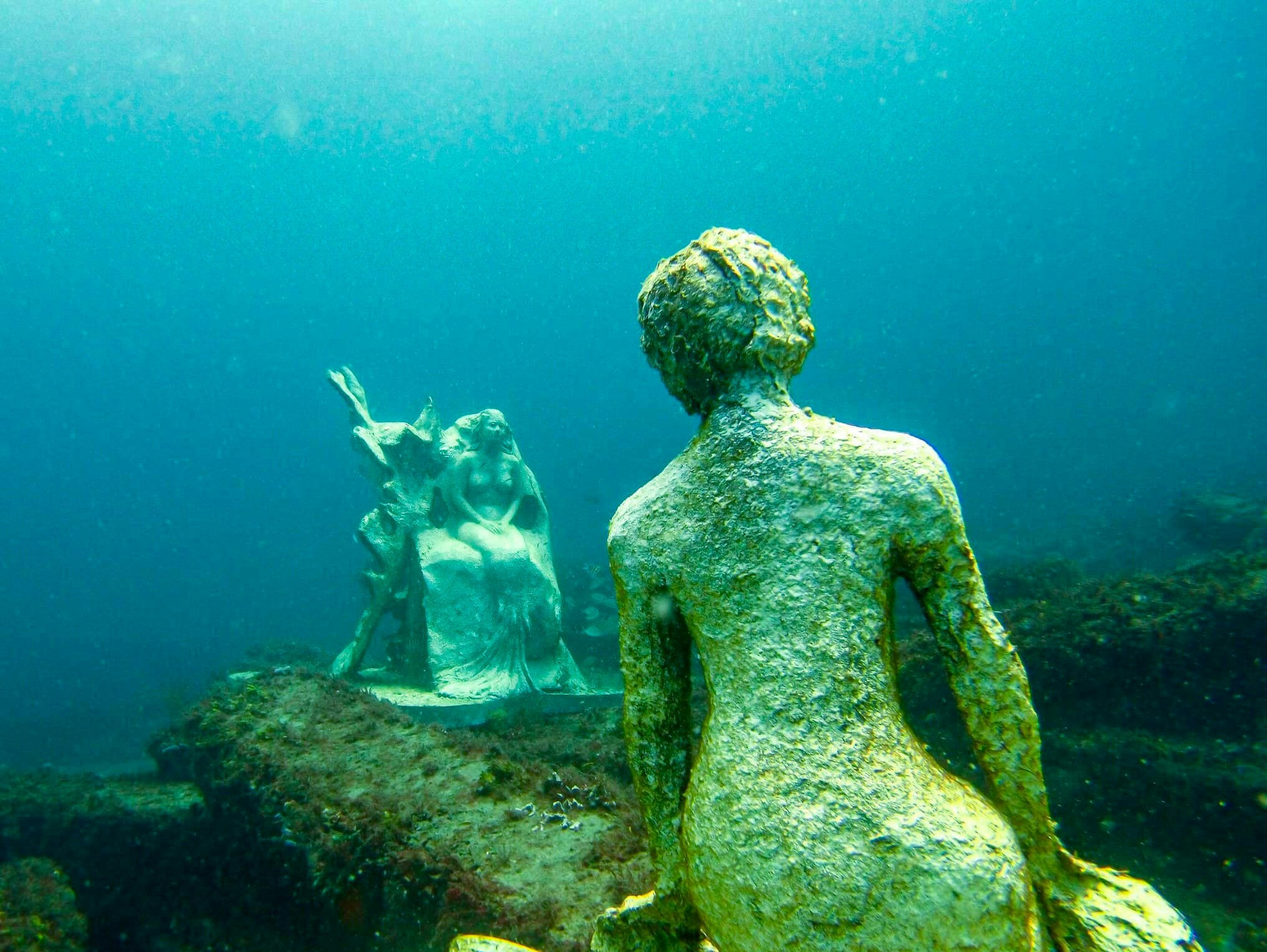 Underwater shot of a pair of mermaid sculptures, one facing the camera and the other with its back to its to the camera. Both sculptures sit on an underwater shelf in the ocean.  
