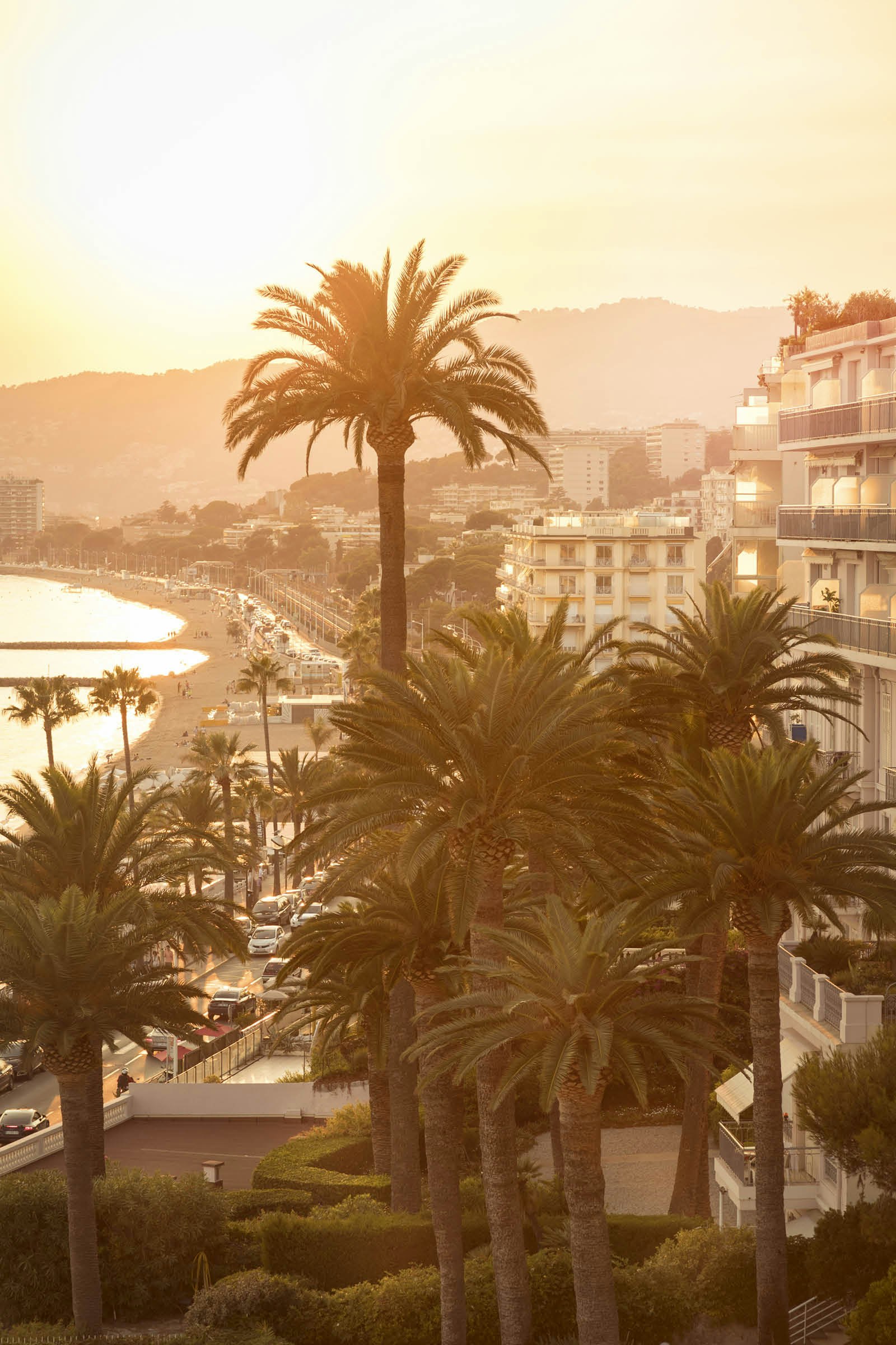 Evening view of palm trees along Cannes' western beach