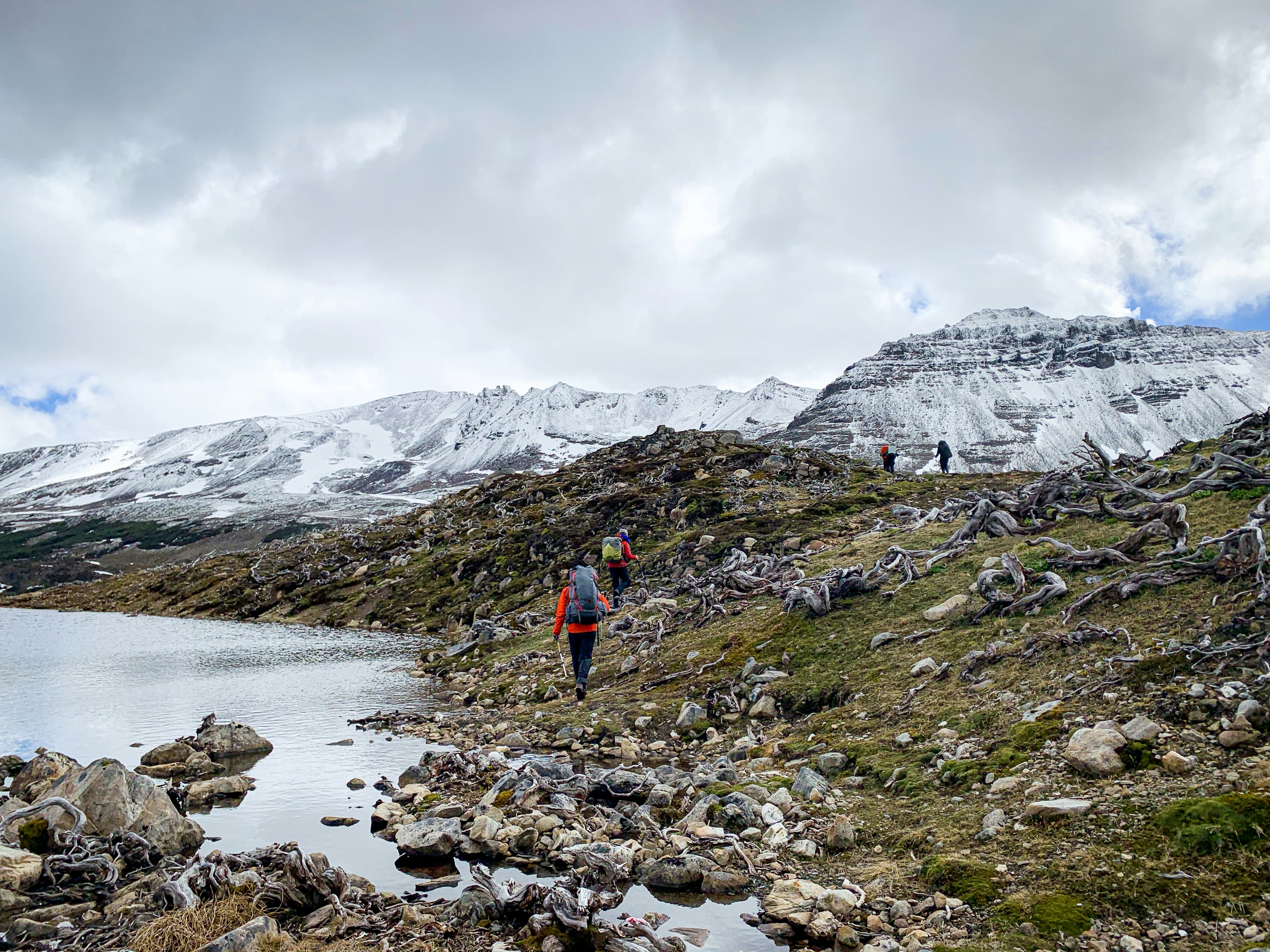 Trekkers walk over gnarled tree roots protruding from uneven terrain beside a pool of water; huge snow-covered peaks rise beyond.