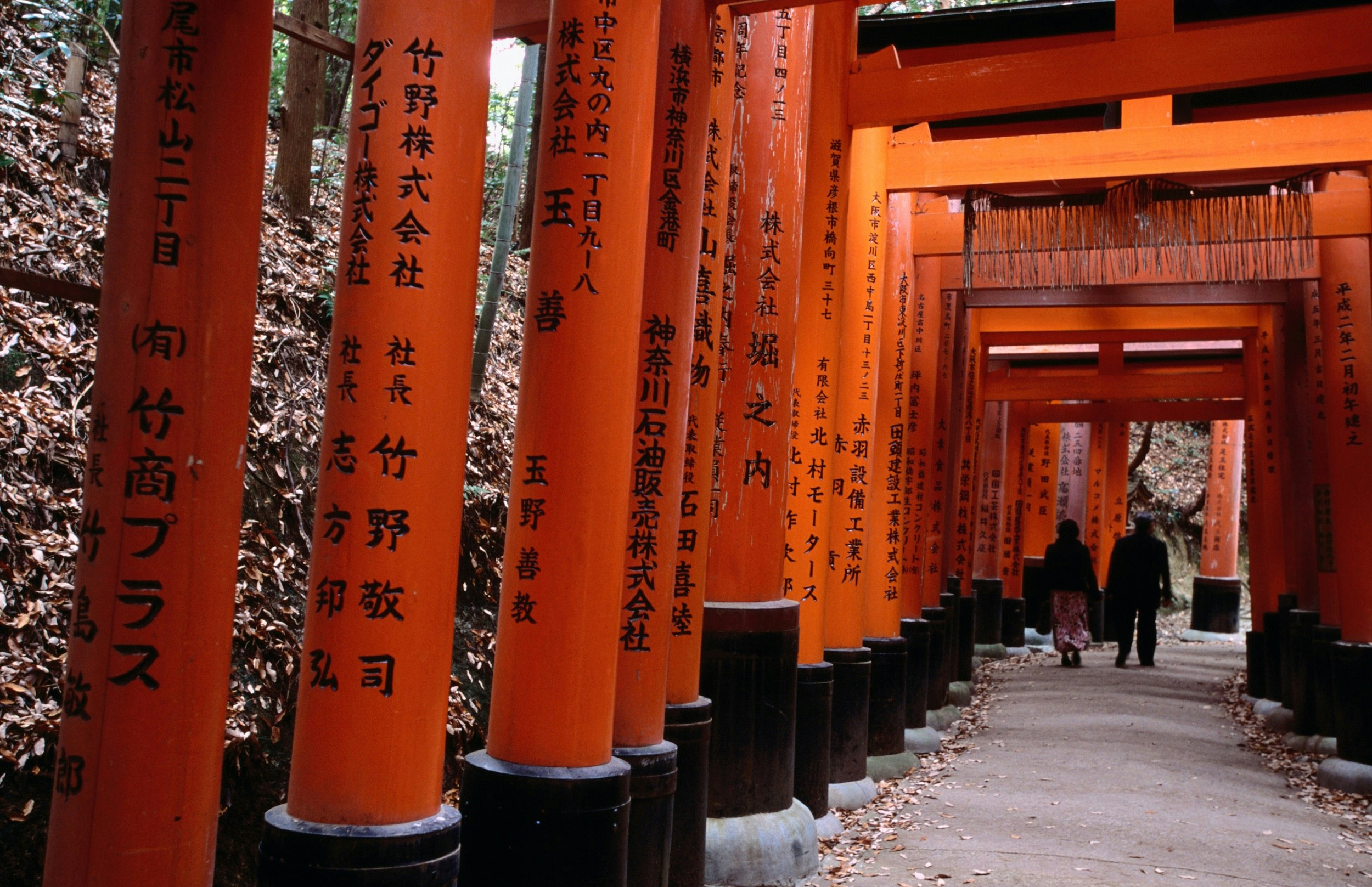 People walking through Fushimi-Inari Taisha 'torii tunnels', which are orange/red in colour.