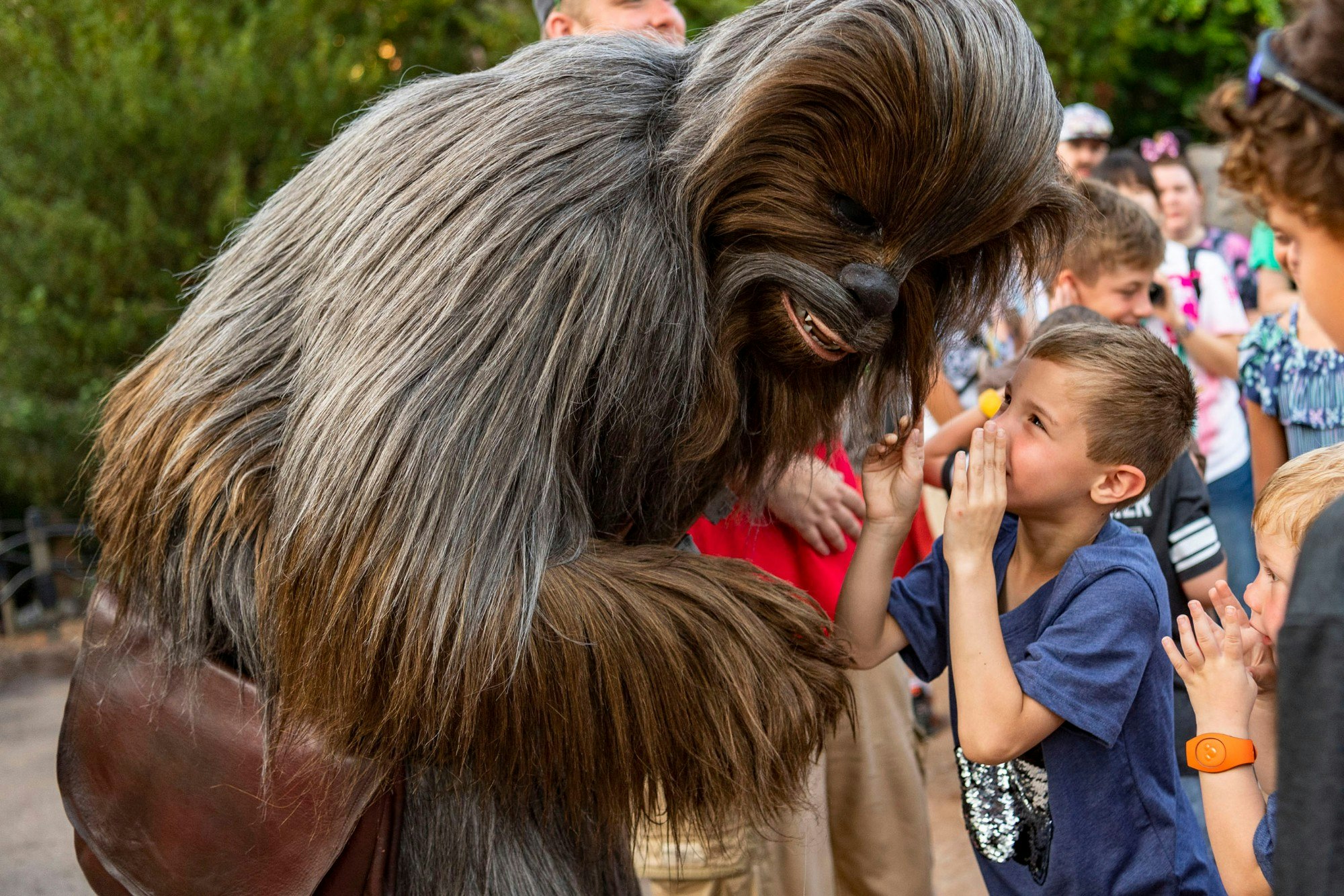 A young guest talks with Chewbacca on opening day of Star Wars: Galaxy’s Edge 