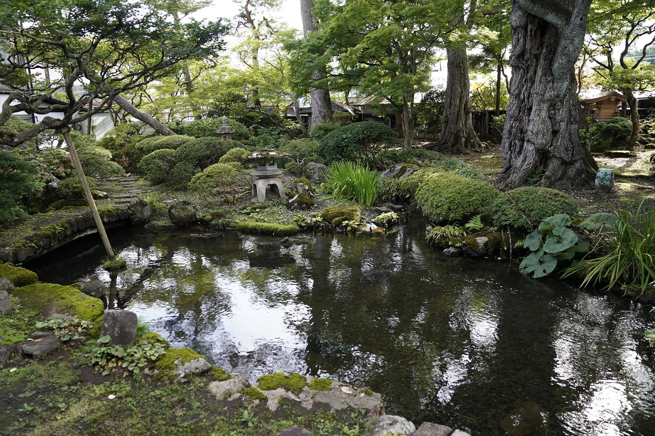 The lush garden with a pond within the Suzuki Brewery, Daisen