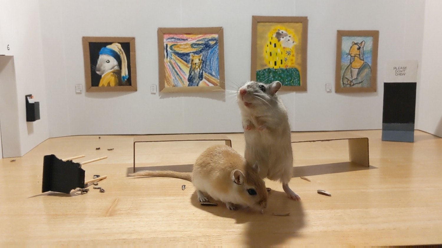 Two gerbils in front of cartoon artworks