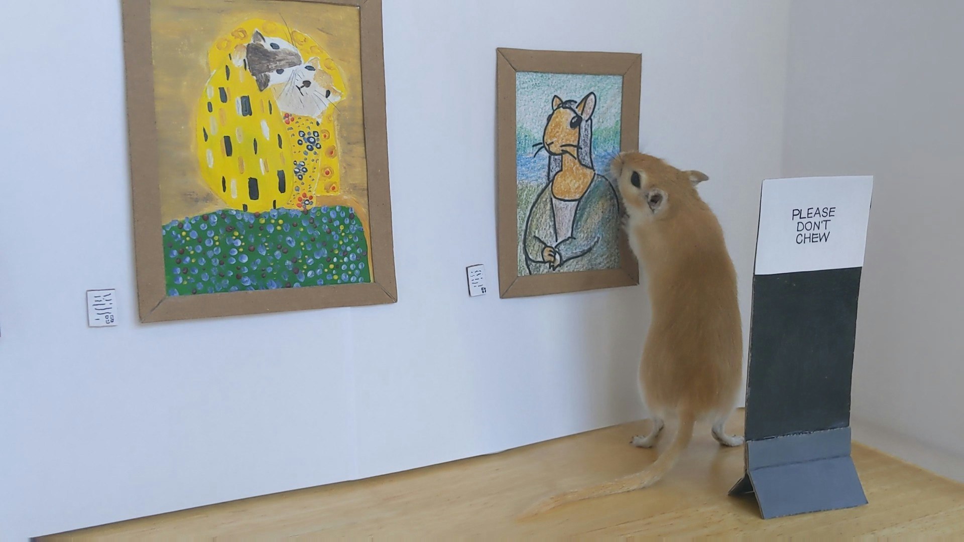 A gerbil examining a cartoon artwork on the wall