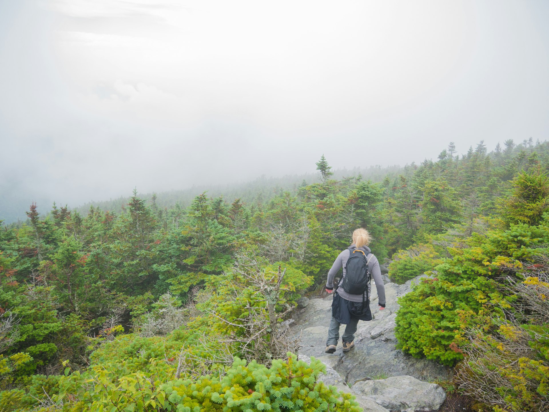 A woman hiker with blonde hair in grey and black outdoor clothing descends a stone path edged by low green shrubs surrounded by fog on the Long Trail in Vermont