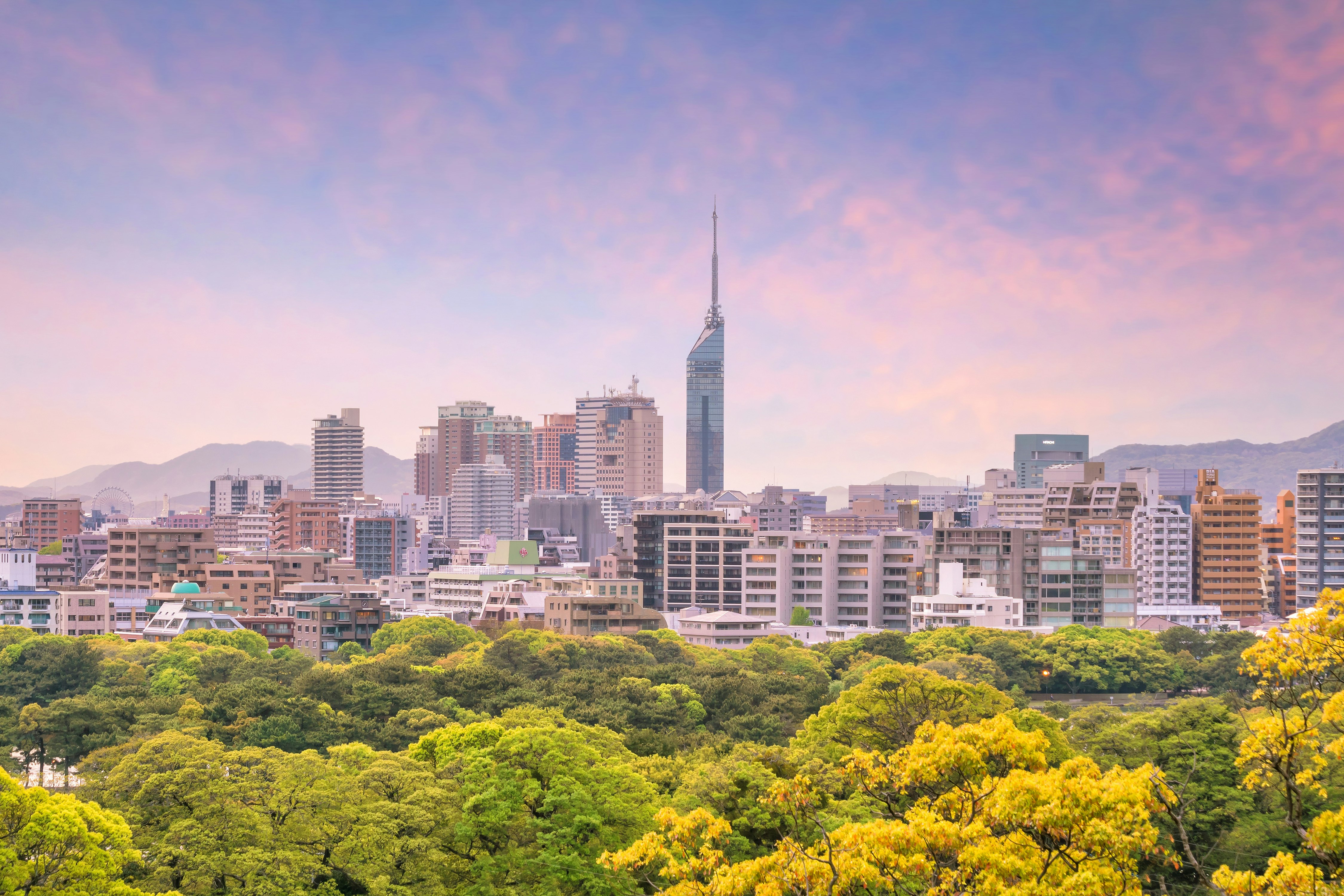 Reasons to visit Japan's Fukuoka - Lonely Planet