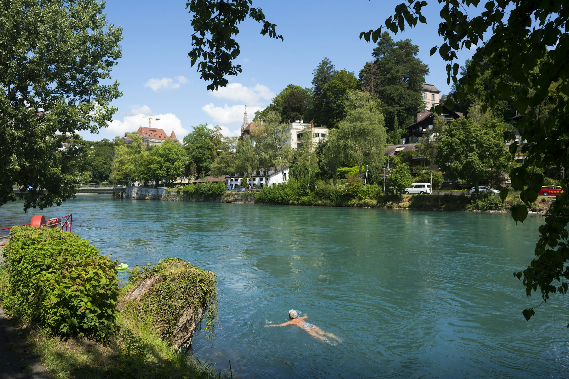 An older woman swims breaststroke near the bank of a wide river on a sunny day. On the opposite bank are buildings obscured by large trees.